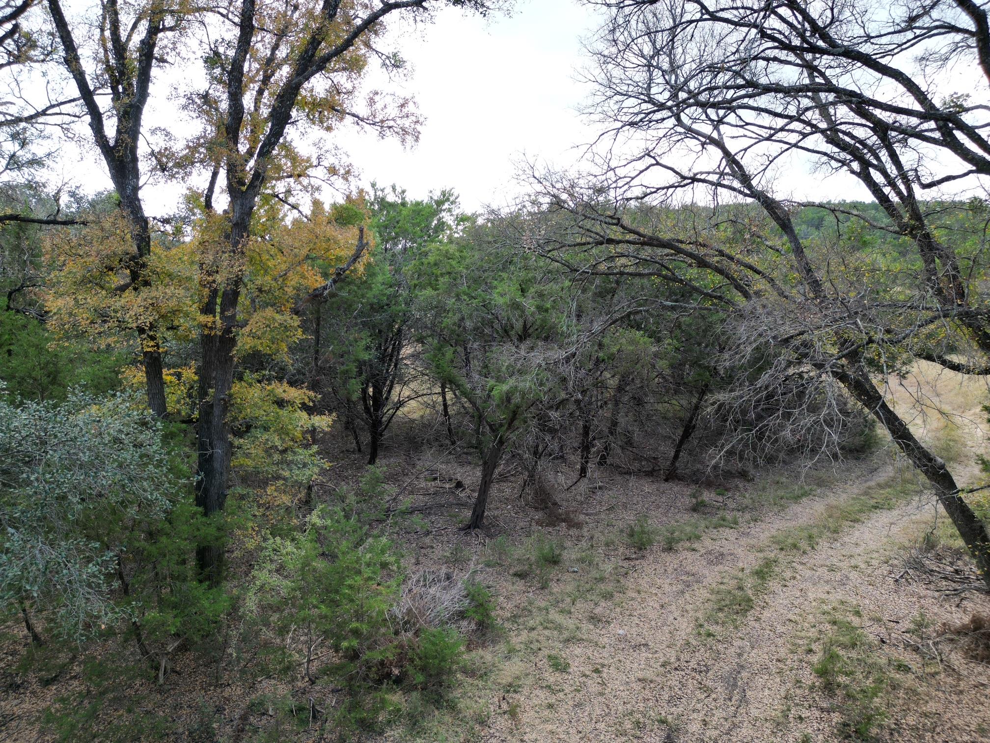 20940 Firefly Rd, Florence, TX 76527