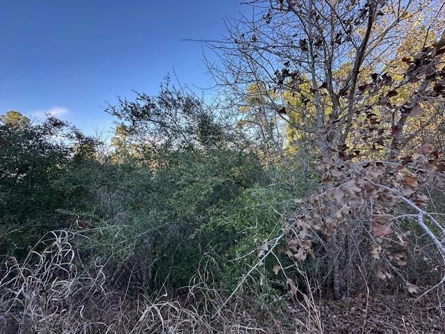 0 TBD Kula Ct, Bastrop, TX 78602