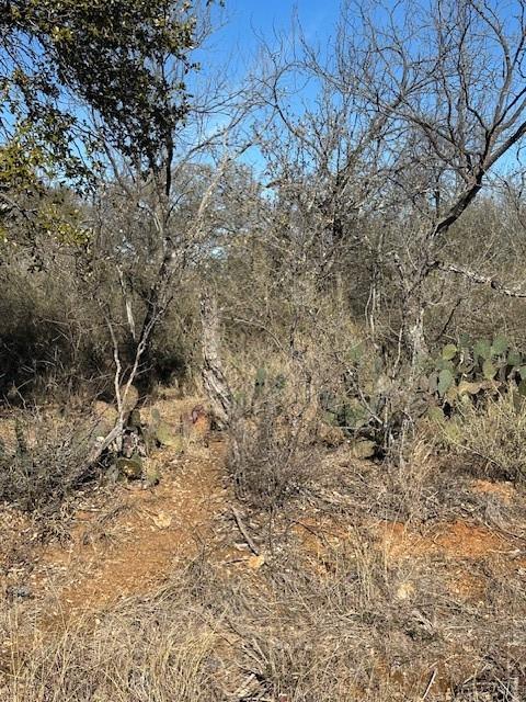 0 TBD Cedar Dr, Marble Falls, TX 78654