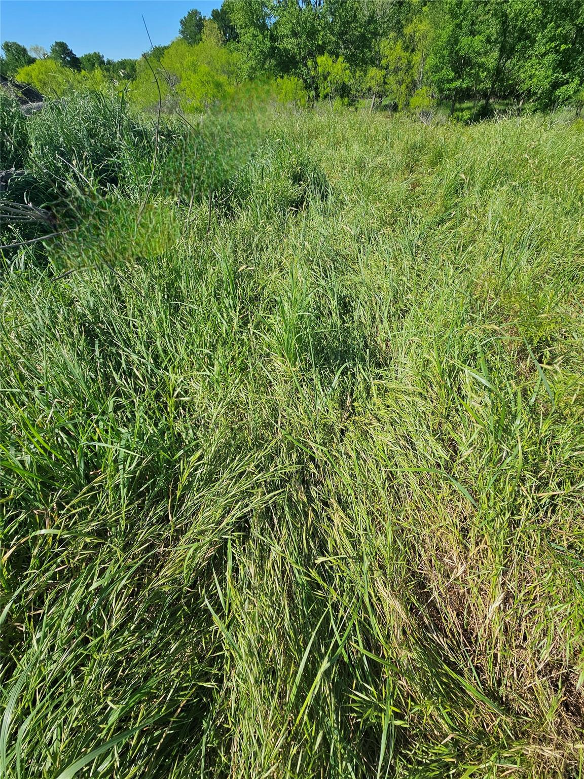 7756 State Park Rd, Lockhart, TX 78644