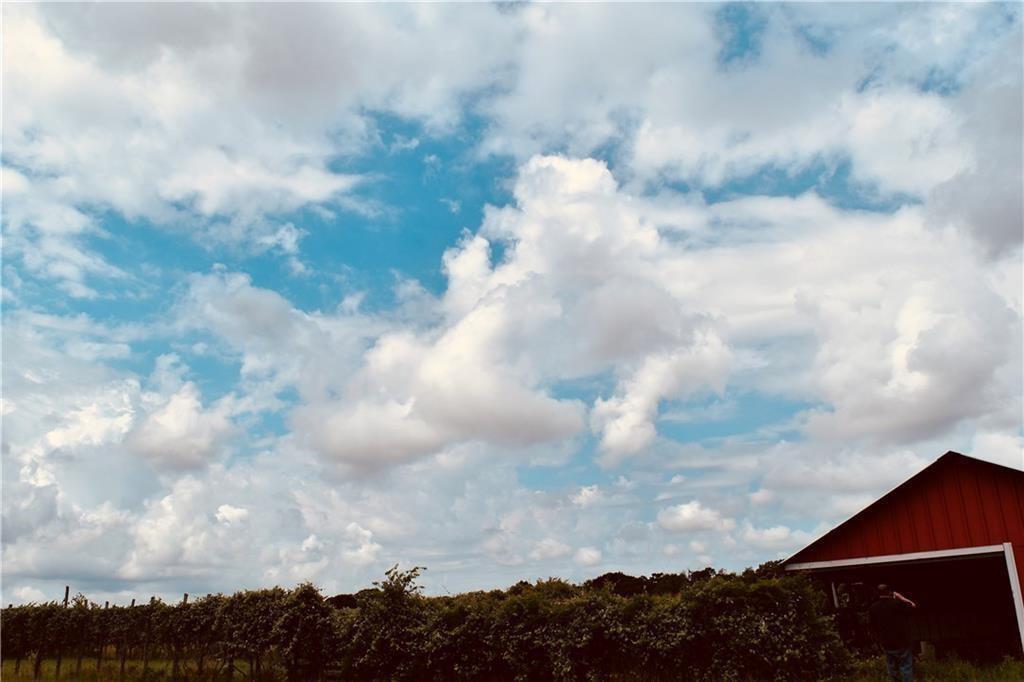 1409 Antioch Rd, Paige, TX 78659