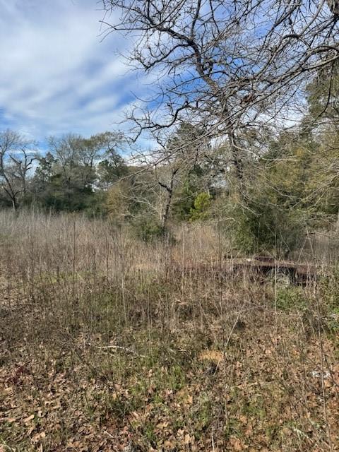 Lot 95 Travis Rd, Paige, TX 78659