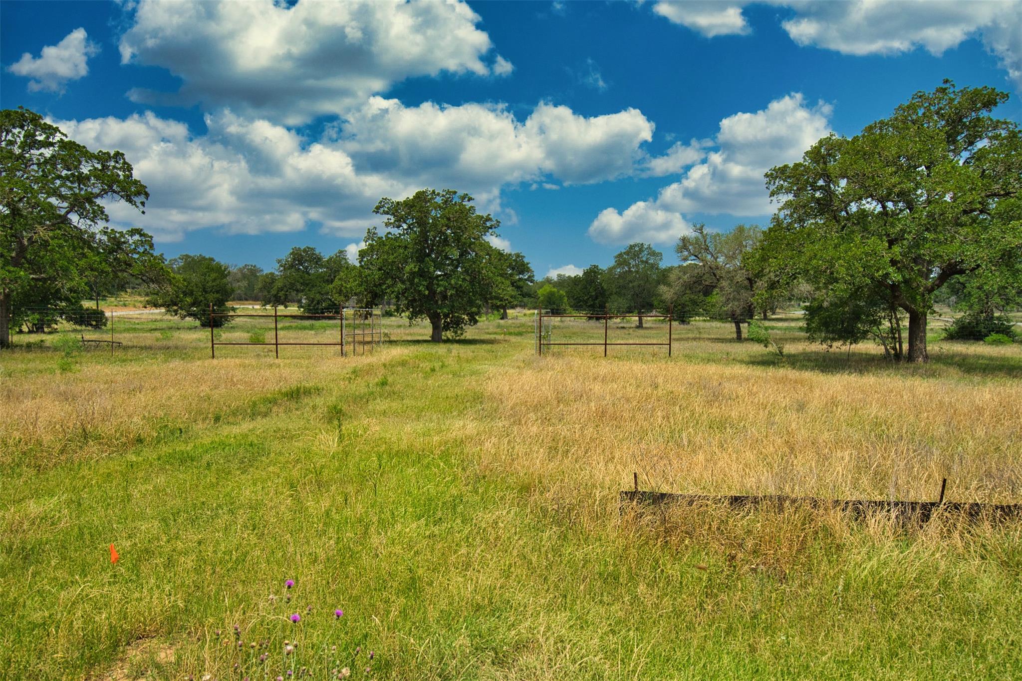 101 Ferguson Loop, Dale, TX 78616