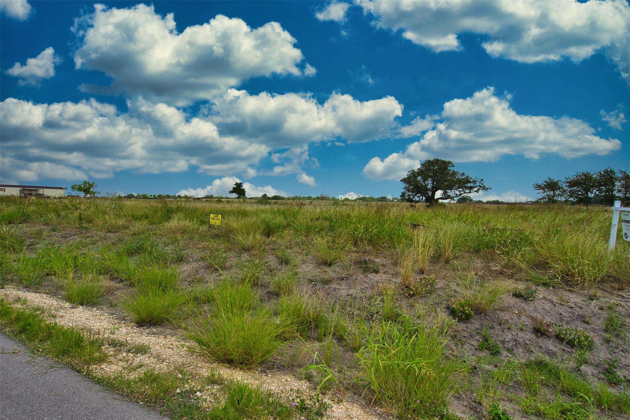 180 Altidore Ave, Dale, TX 78616