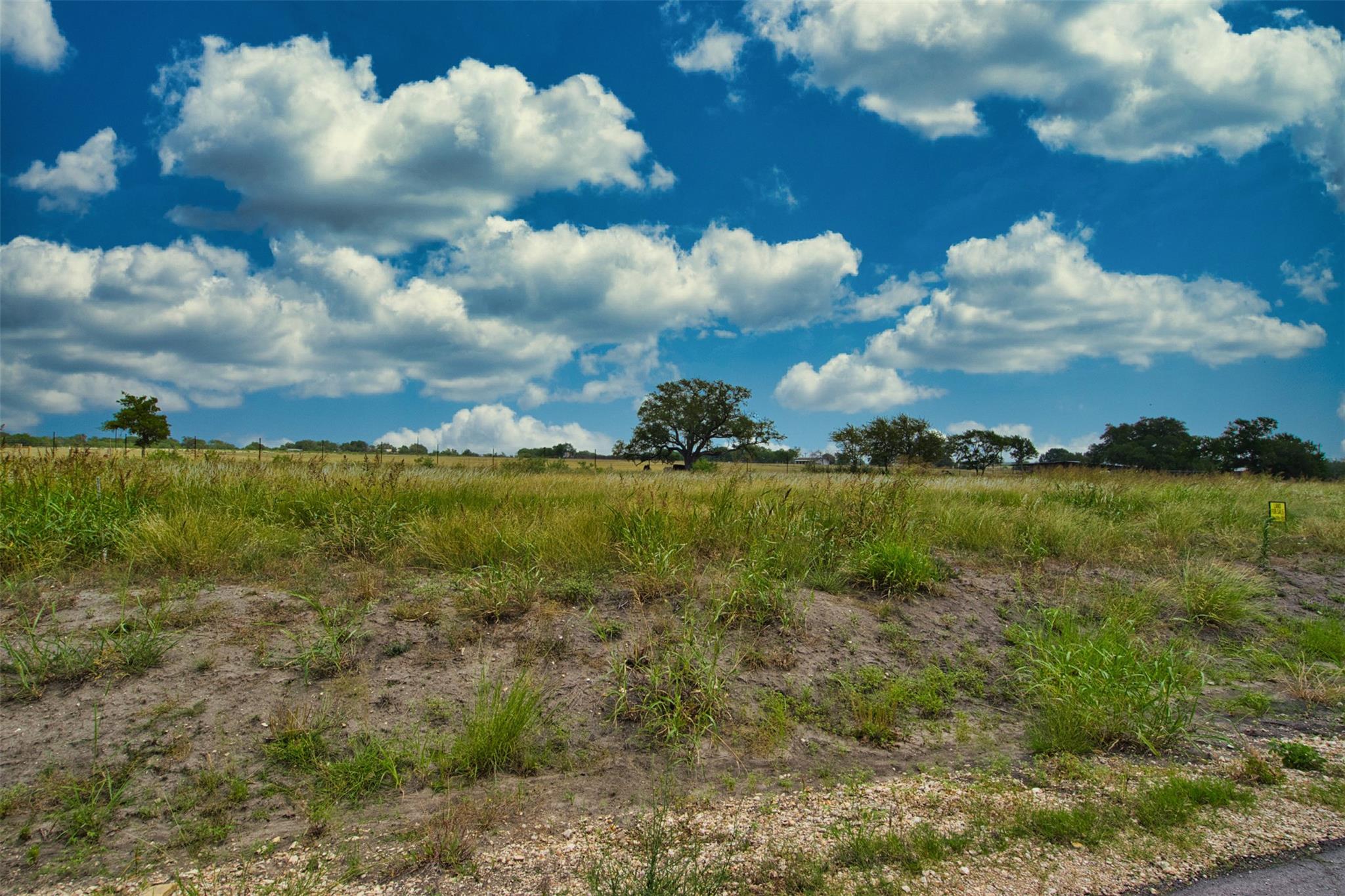 180 Altidore Ave, Dale, TX 78616