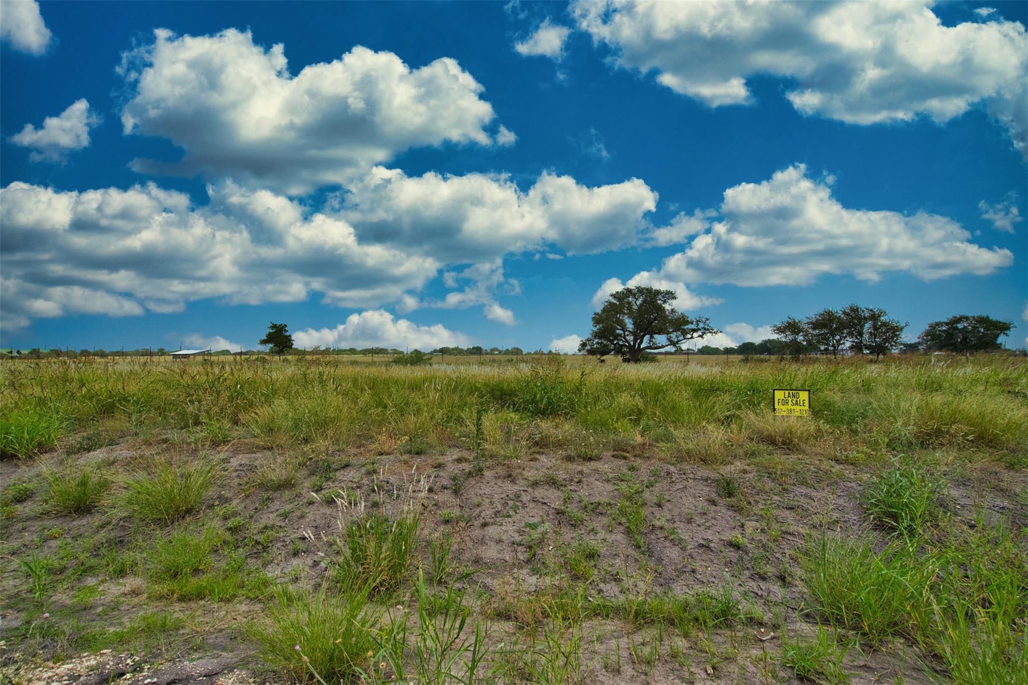 180 Altidore Ave, Dale, TX 78616