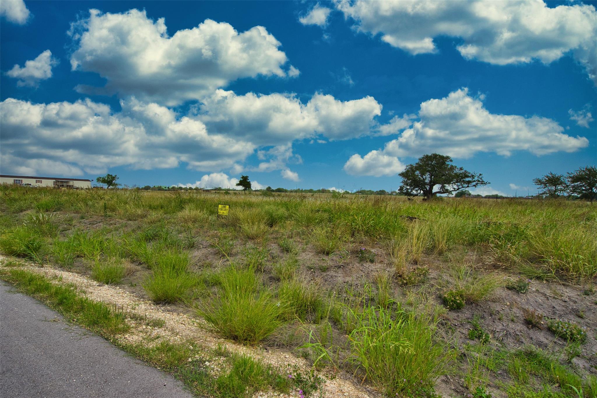 180 Altidore Ave, Dale, TX 78616