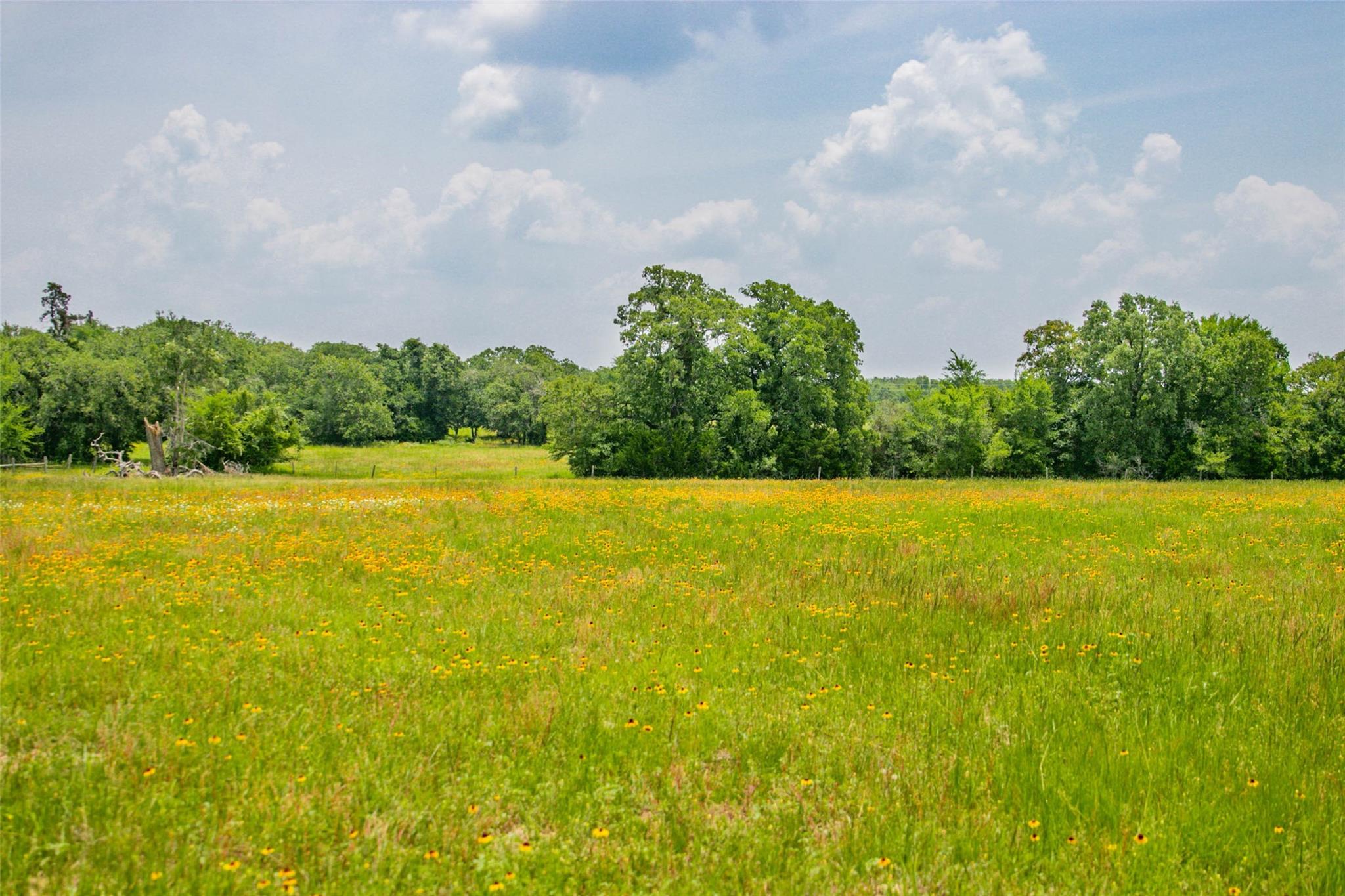 Lot 32 (5.41 Acres) Legacy Rd, Somerville, TX 77879