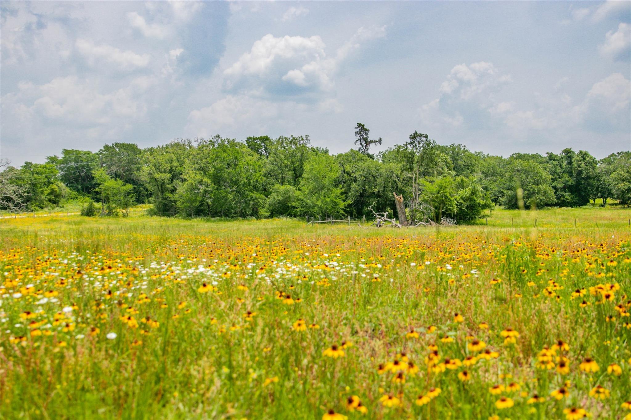 Lot 32 (5.41 Acres) Legacy Rd, Somerville, TX 77879