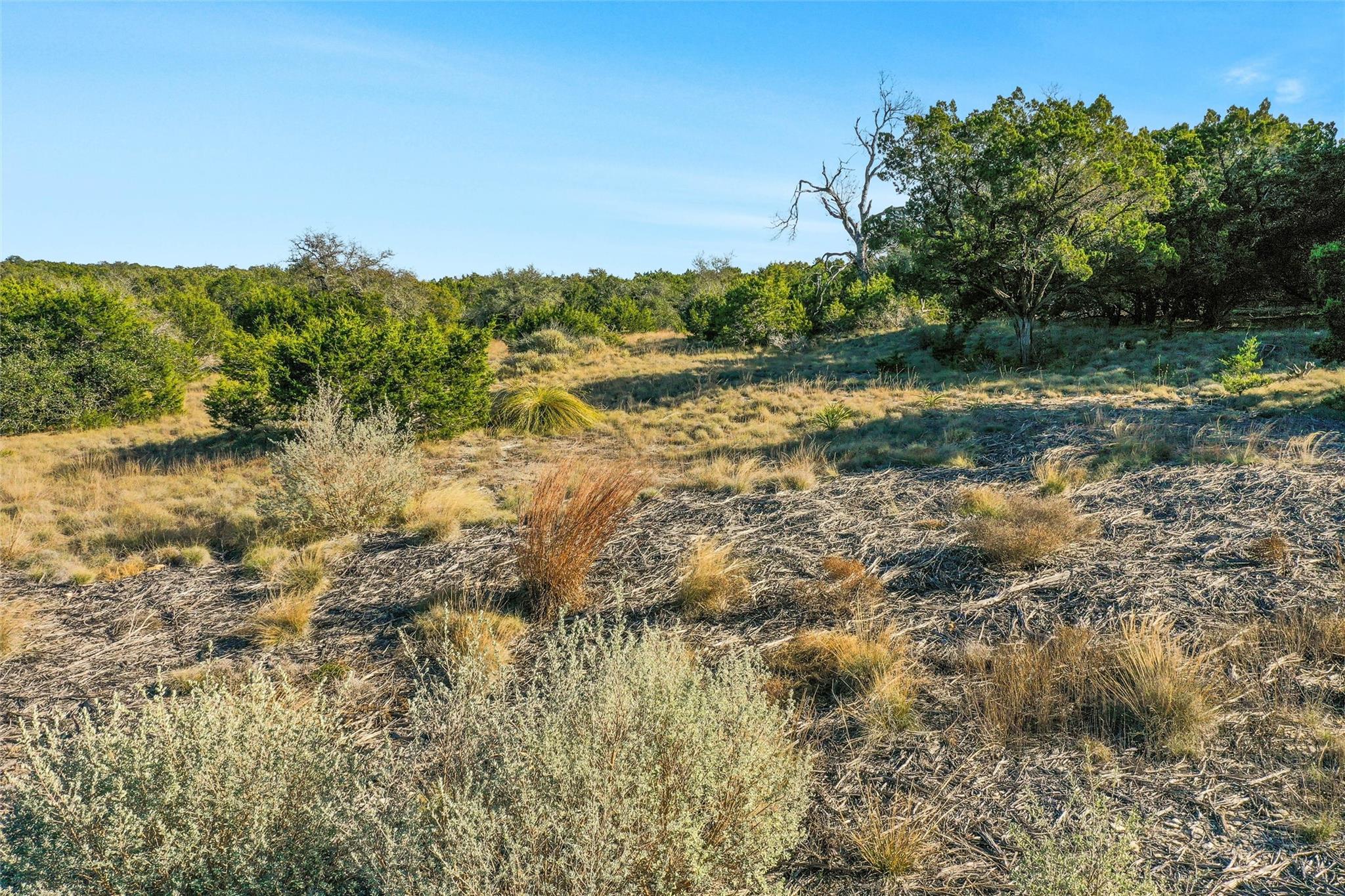 10107 Davy Crockett Dr, Dripping Springs, TX 78620