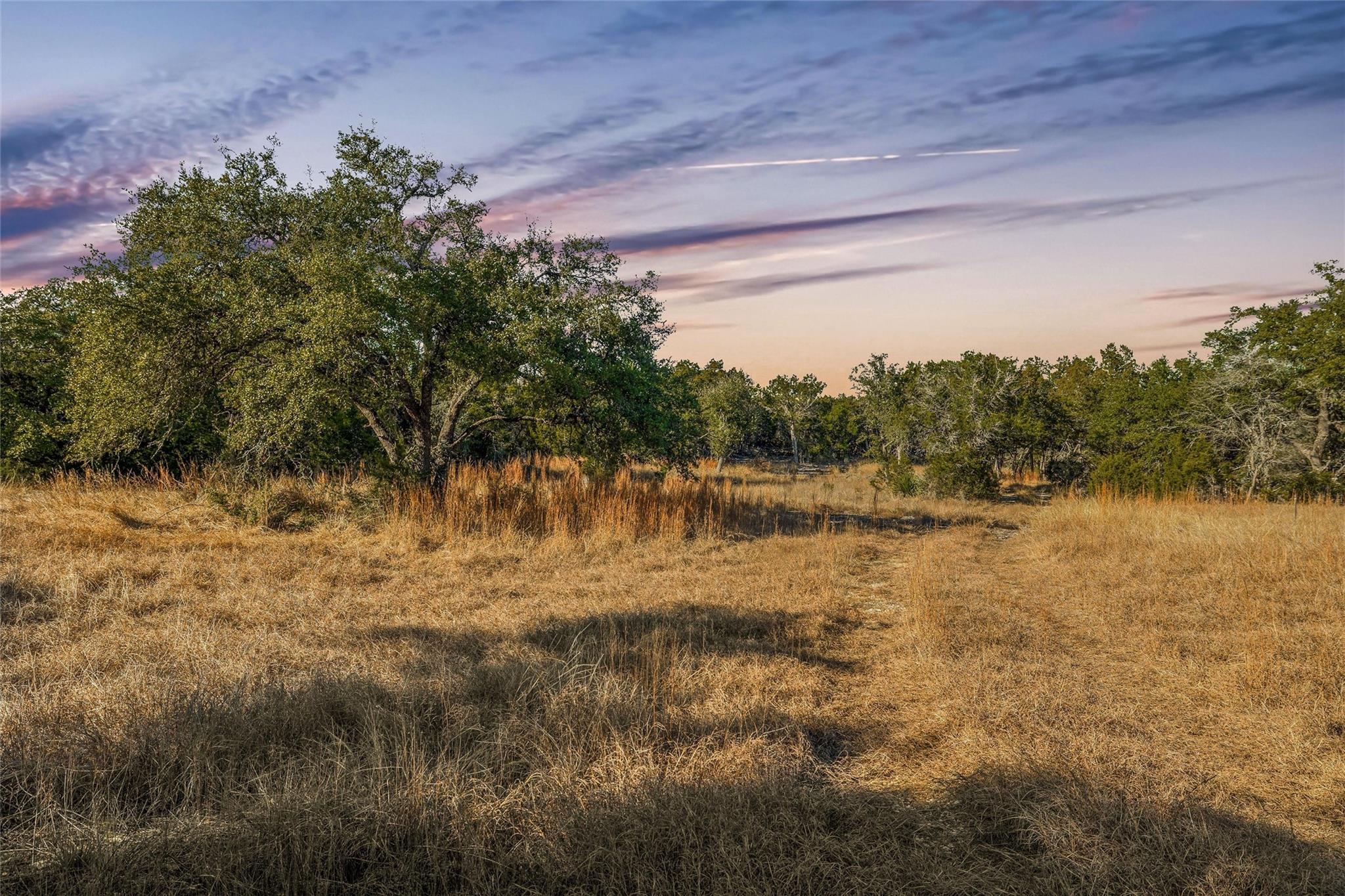 10107 Davy Crockett Dr, Dripping Springs, TX 78620