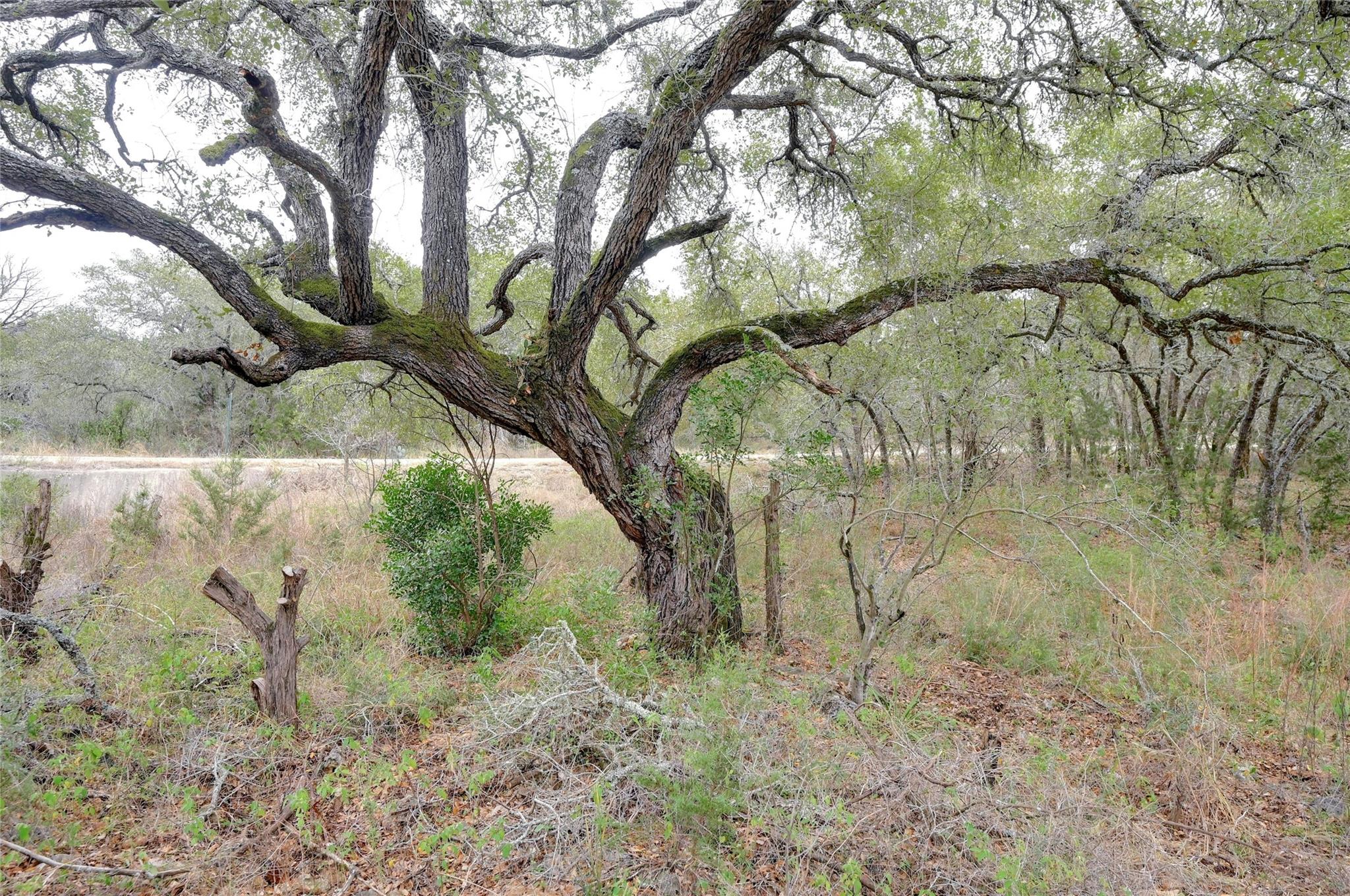 1901 Oak Grove Rd, San Marcos, TX 78666