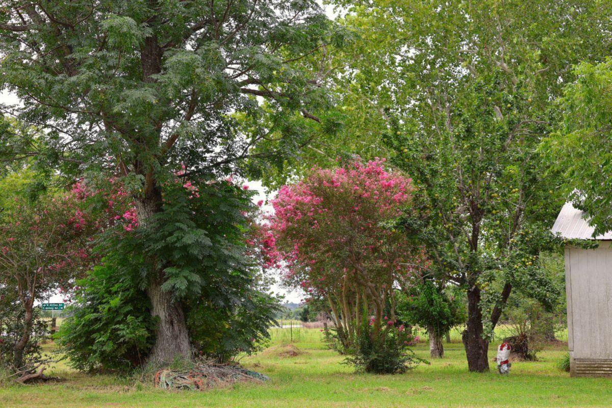 5612 HWY 71 E, Smithville, TX 78957