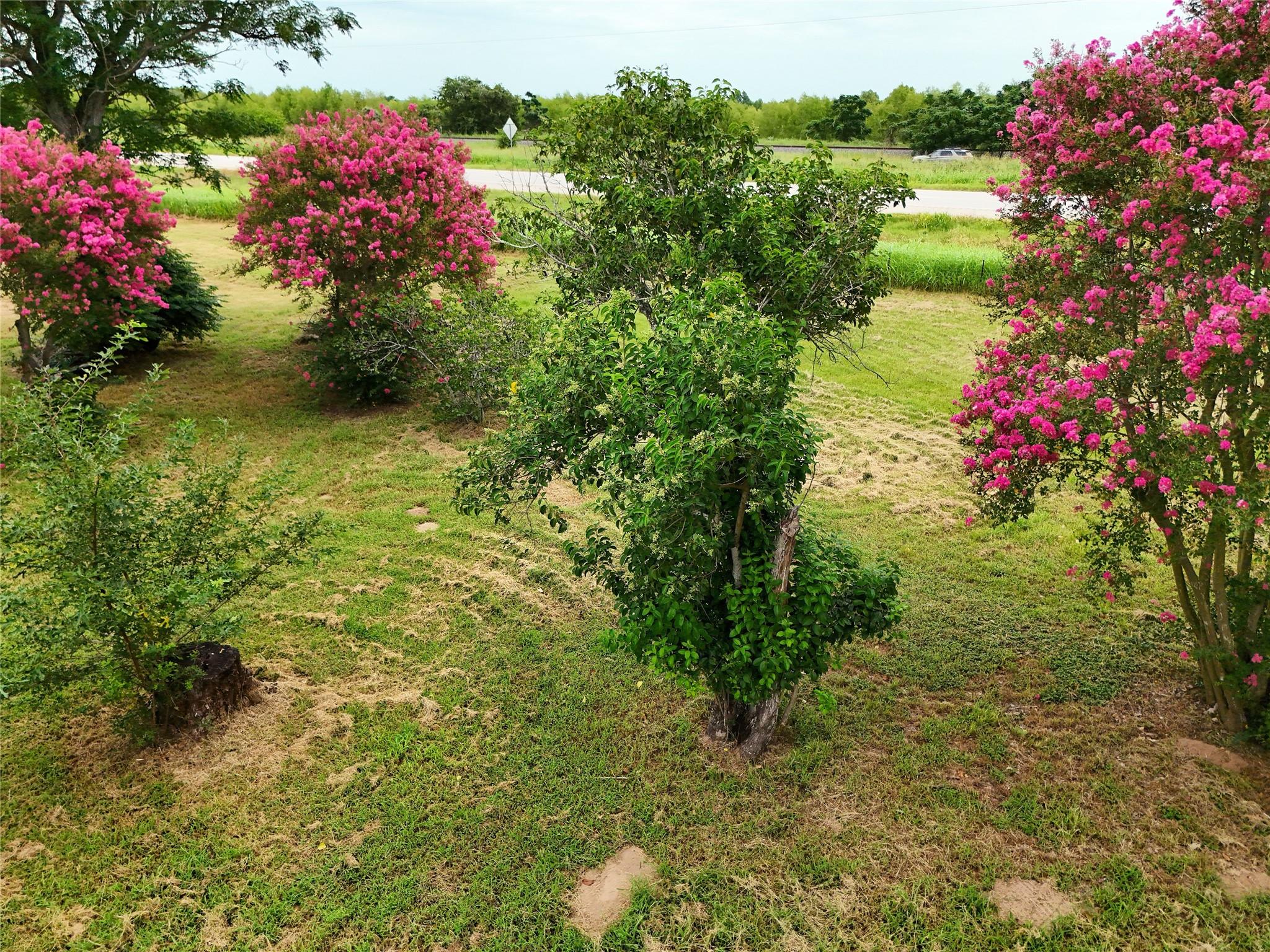 5612 HWY 71 E, Smithville, TX 78957