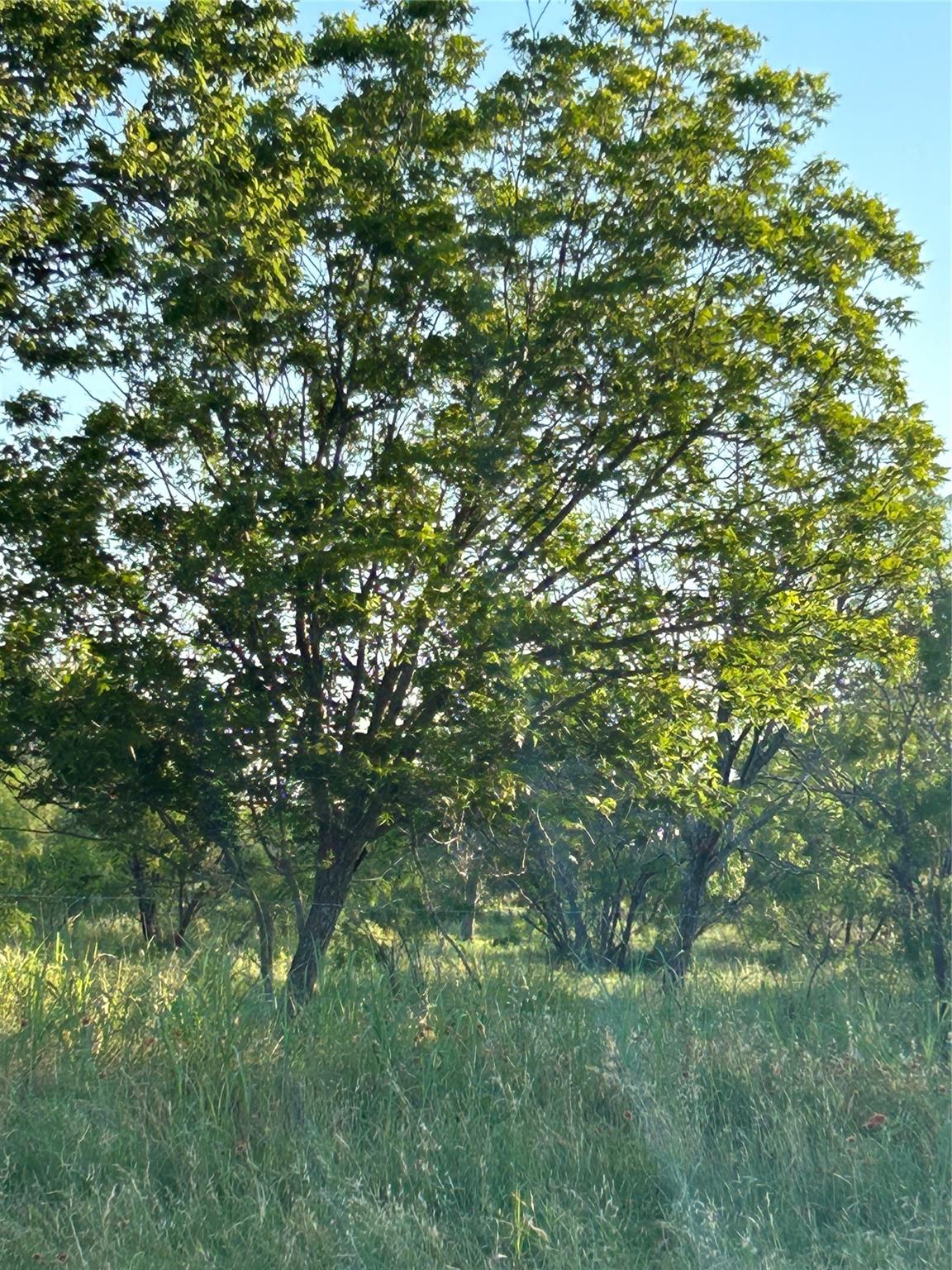 20441 Fm 2268, Holland, TX 76534