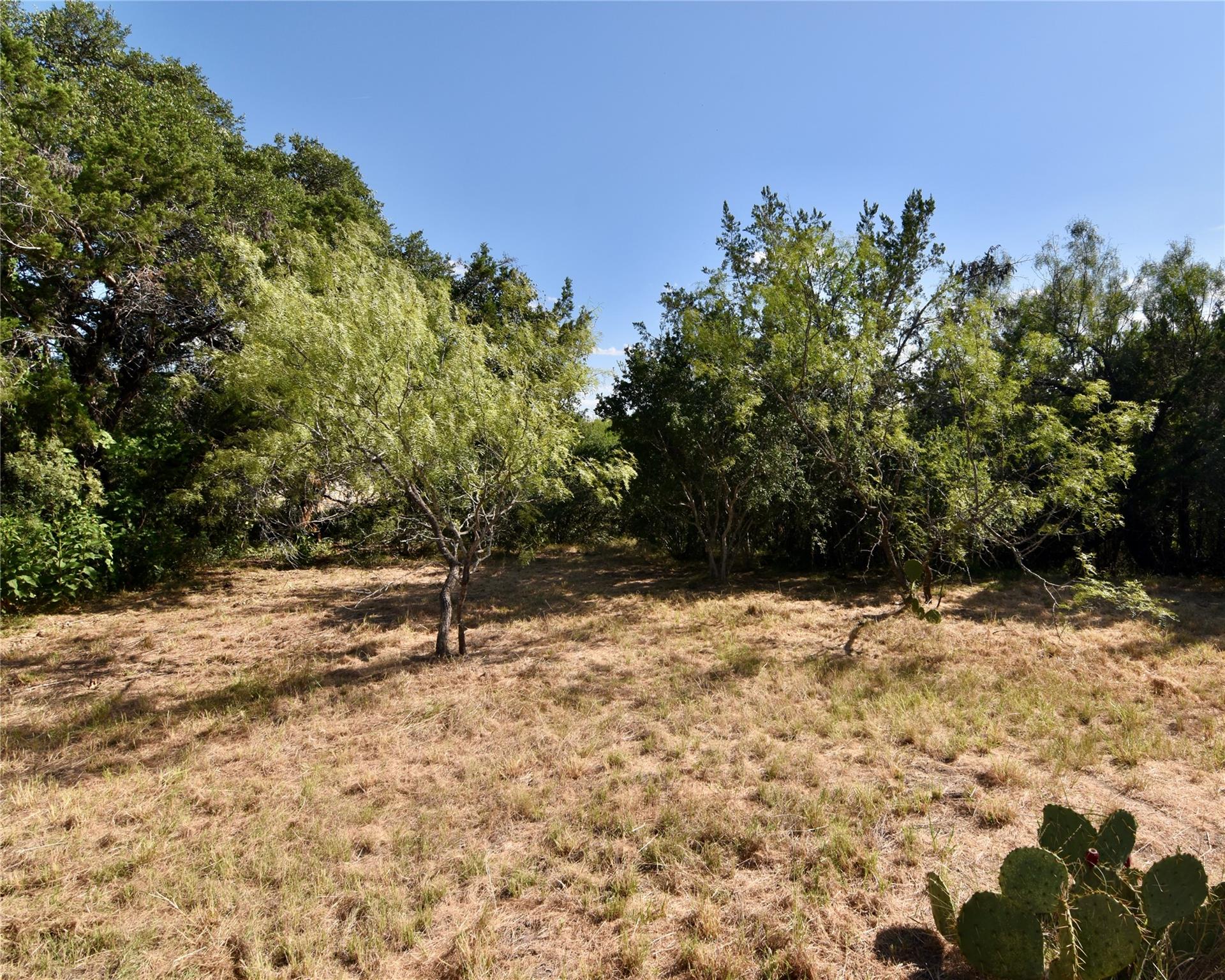 91 Cove Creek Dr, Spicewood, TX 78669