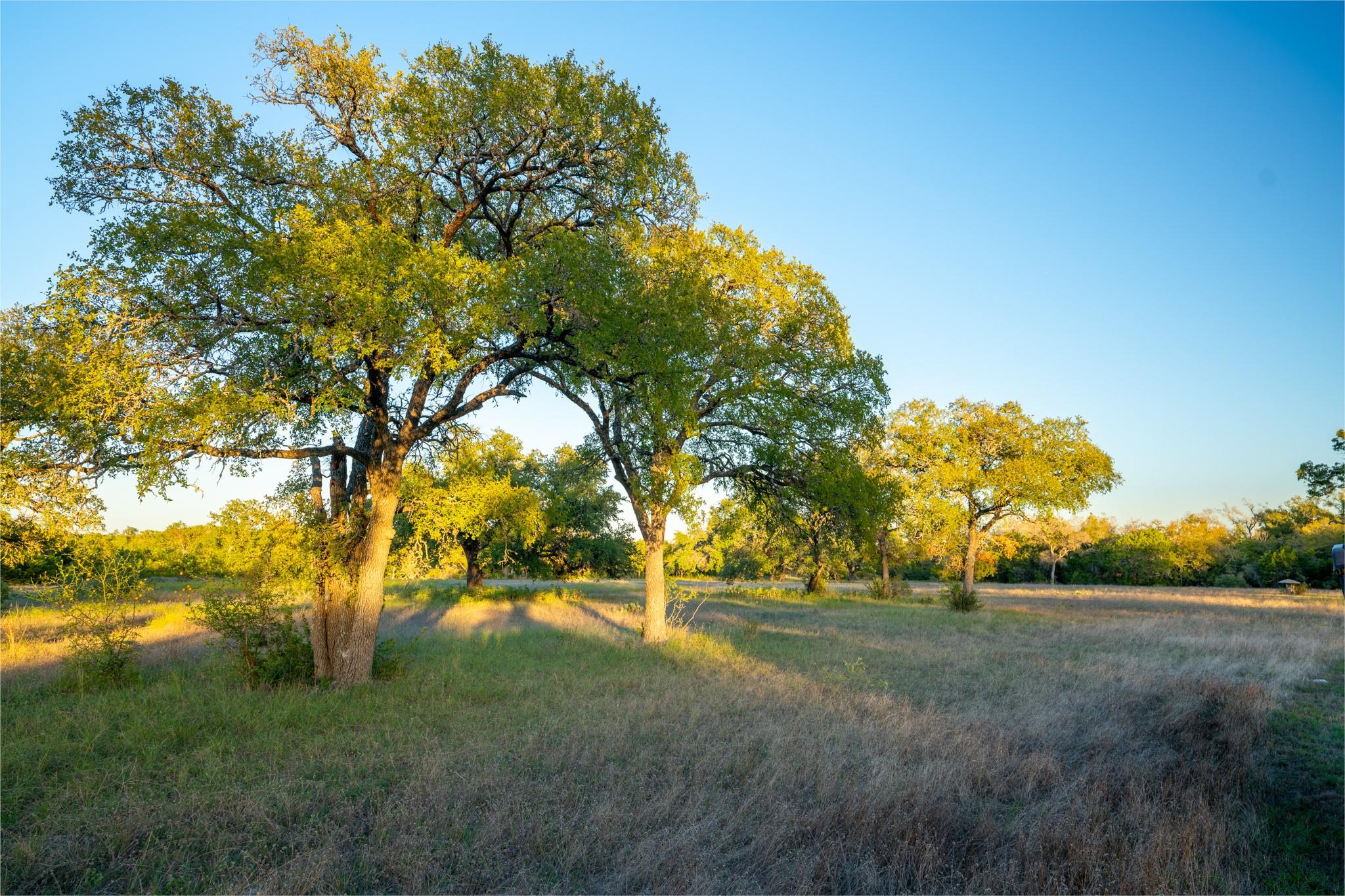 12737 Silver Creek Rd, Dripping Springs, TX 78620