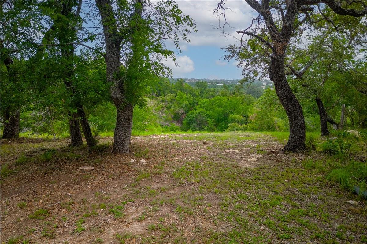 17102 Oak Cliff Cir, Dripping Springs, TX 78620