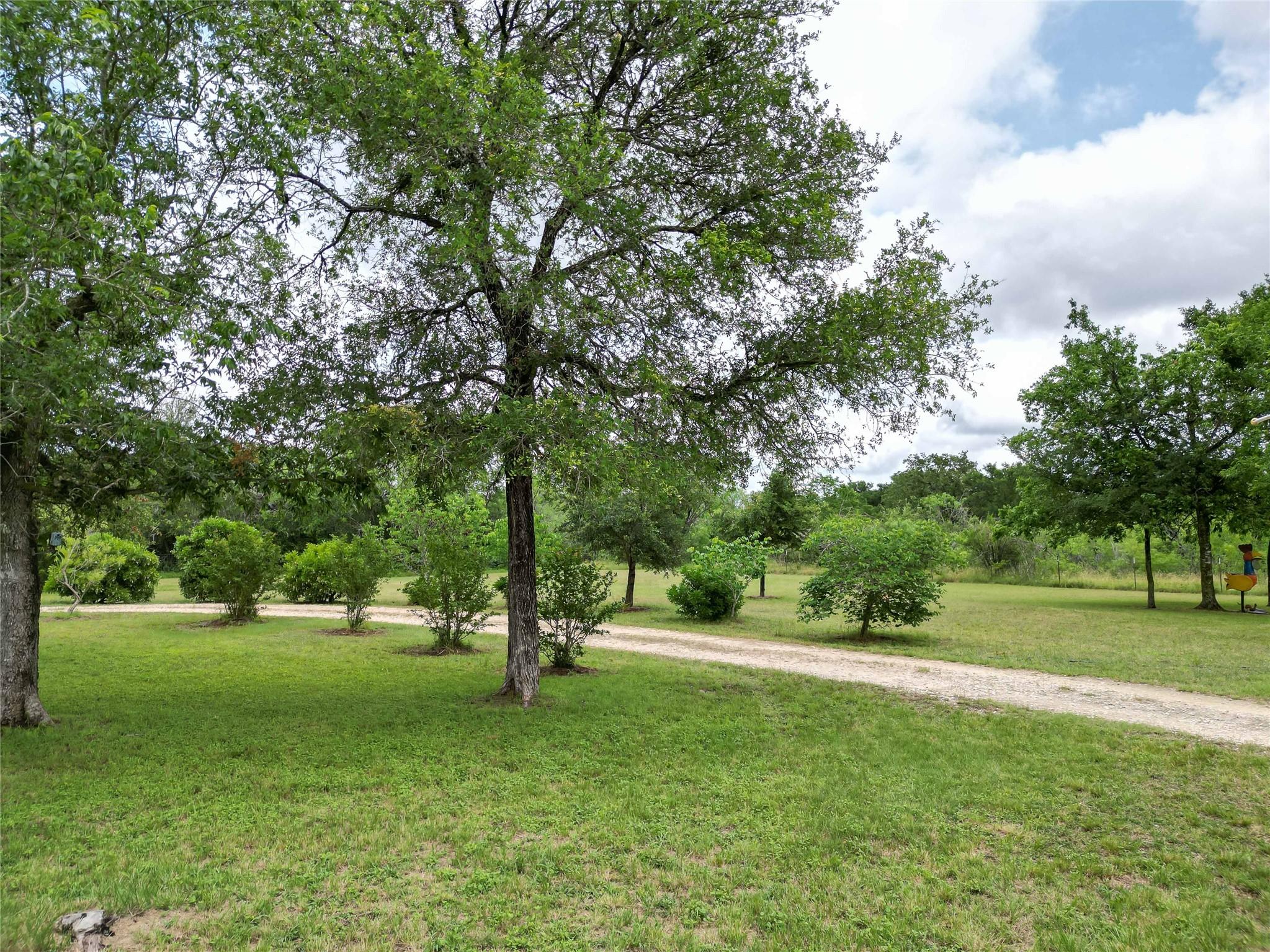 194 Rabbit Trl, Dale, TX 78616