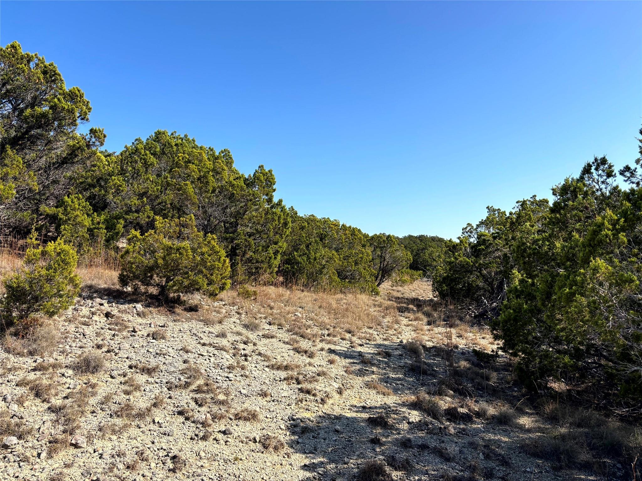 21924 Nameless Rd, Leander, TX 78641