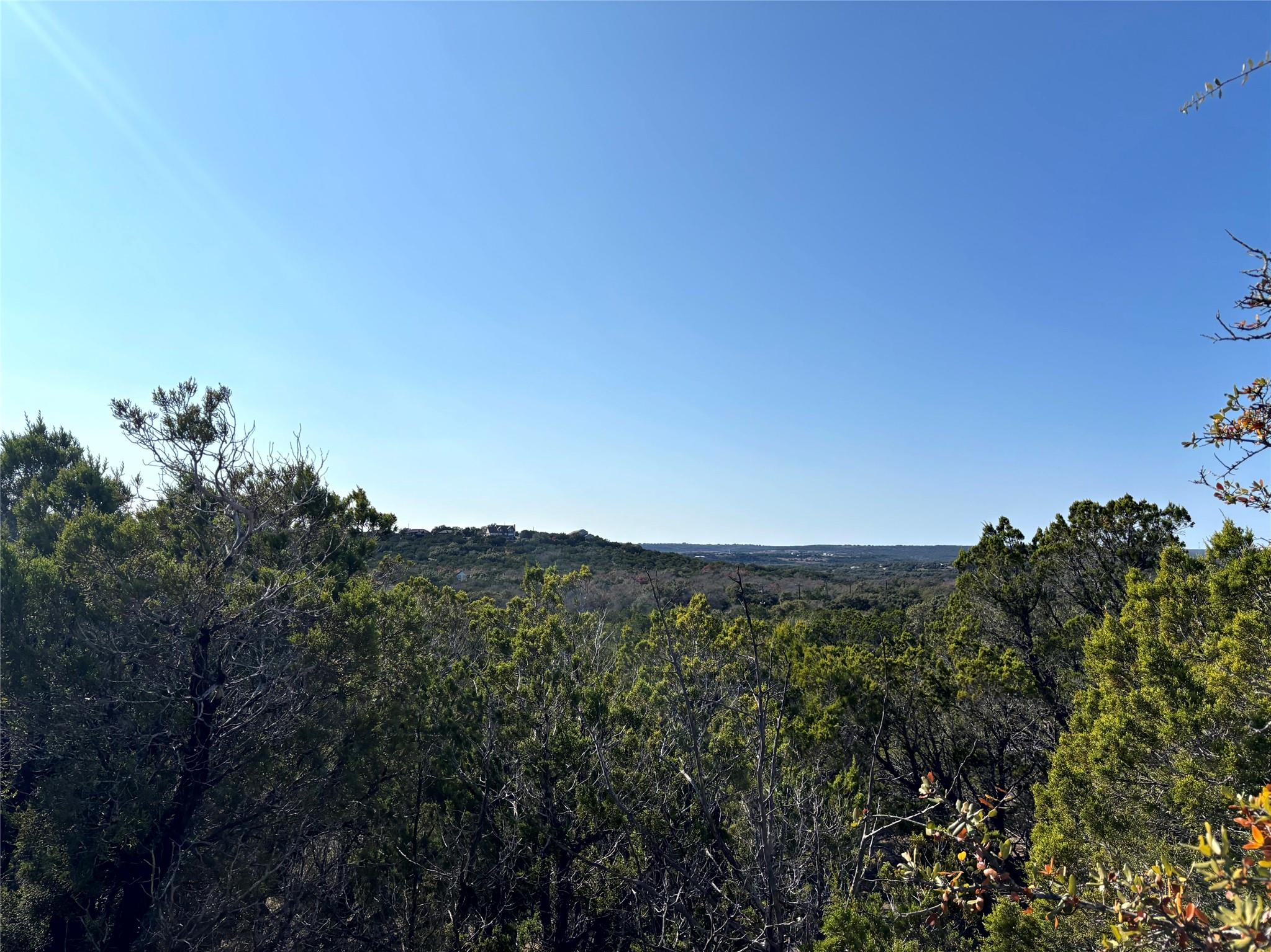 21924 Nameless Rd, Leander, TX 78641