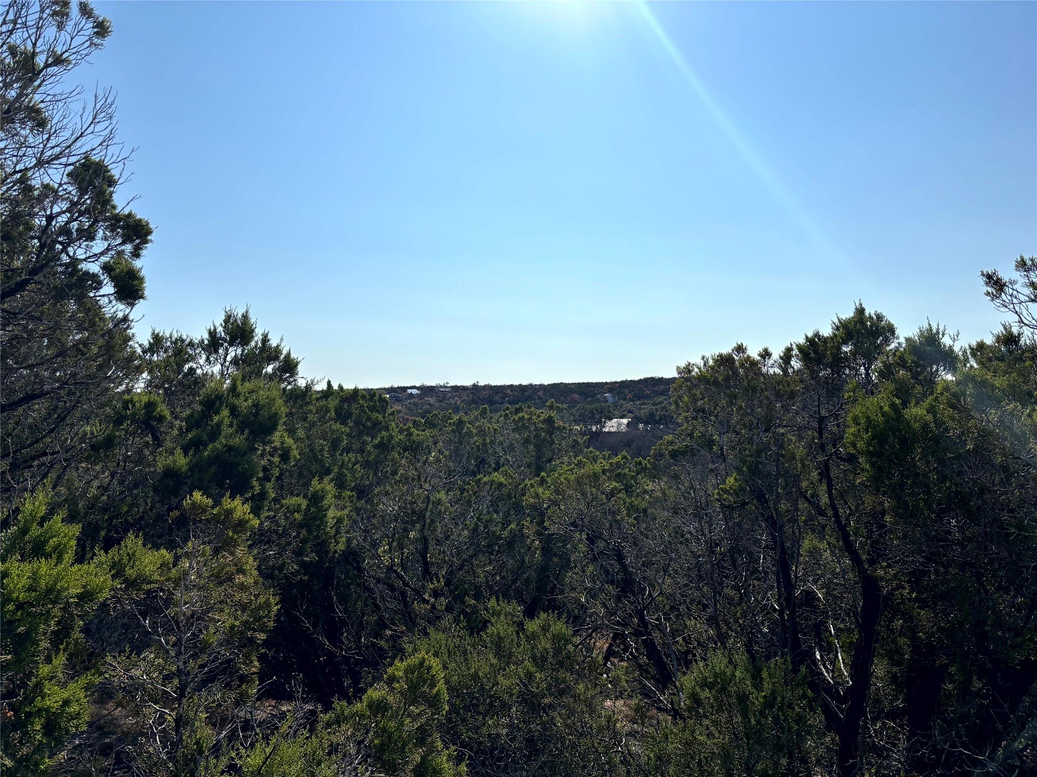 21924 Nameless Rd, Leander, TX 78641