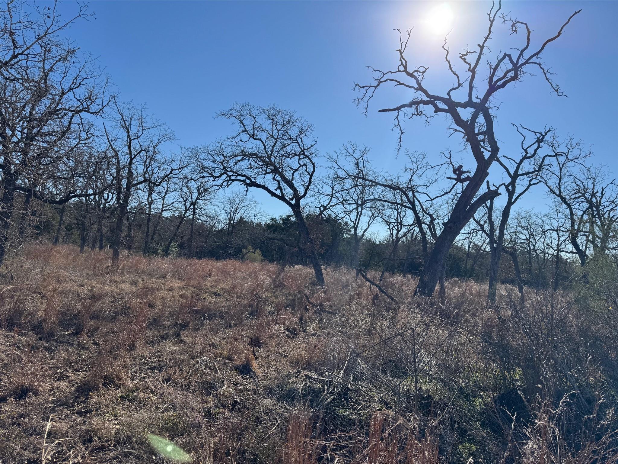 TBD Marjess Dr, Cedar Creek, TX 78612