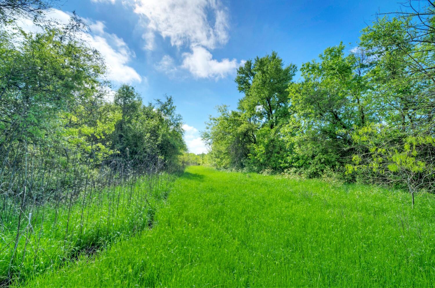 4201 County Road 463, Elgin, TX 78621