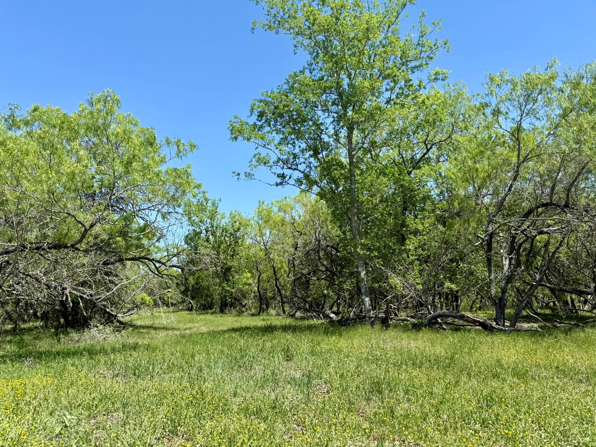 TBD Acorn Rd # 3, Lockhart, TX 78644