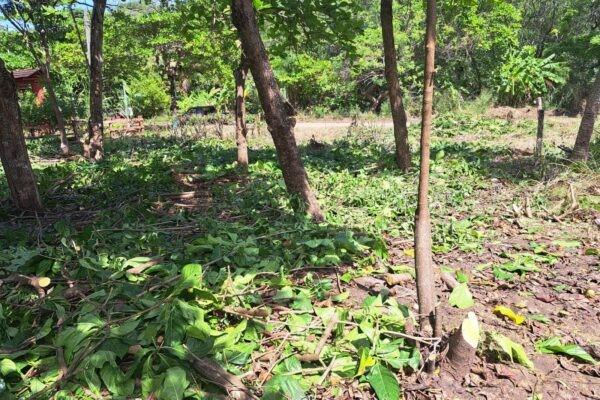 0 Titled beach-front lot in Costa Rica, Out of State 61102