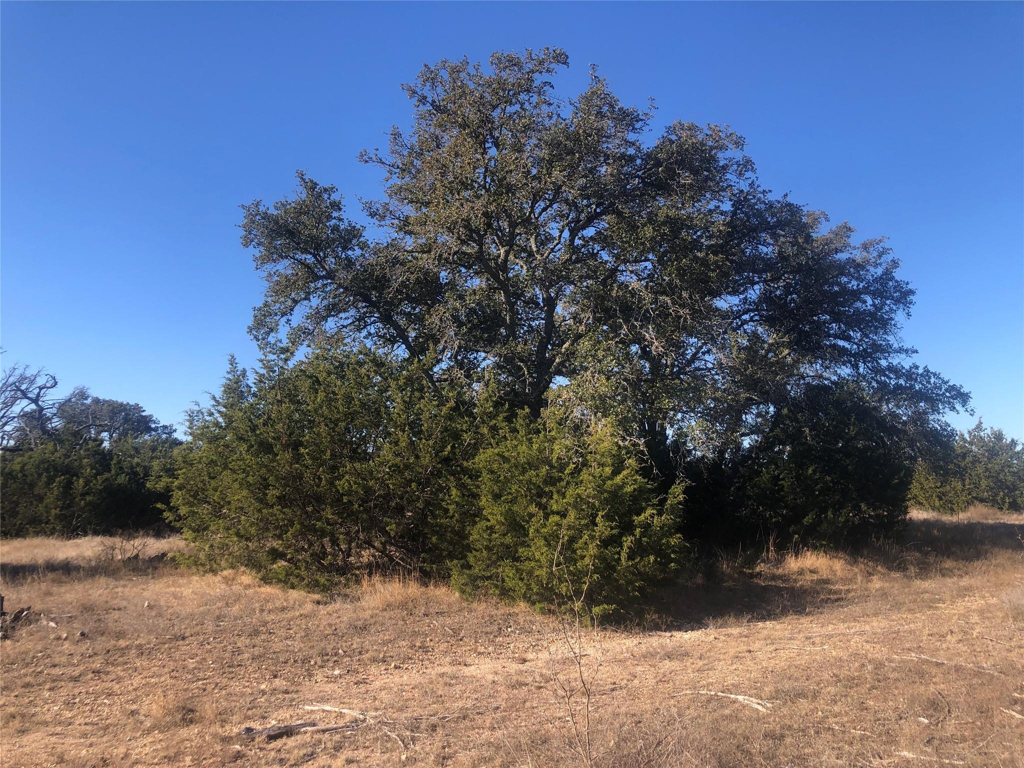 312 Oak Stump Dr, Goldthwaite, TX 76844