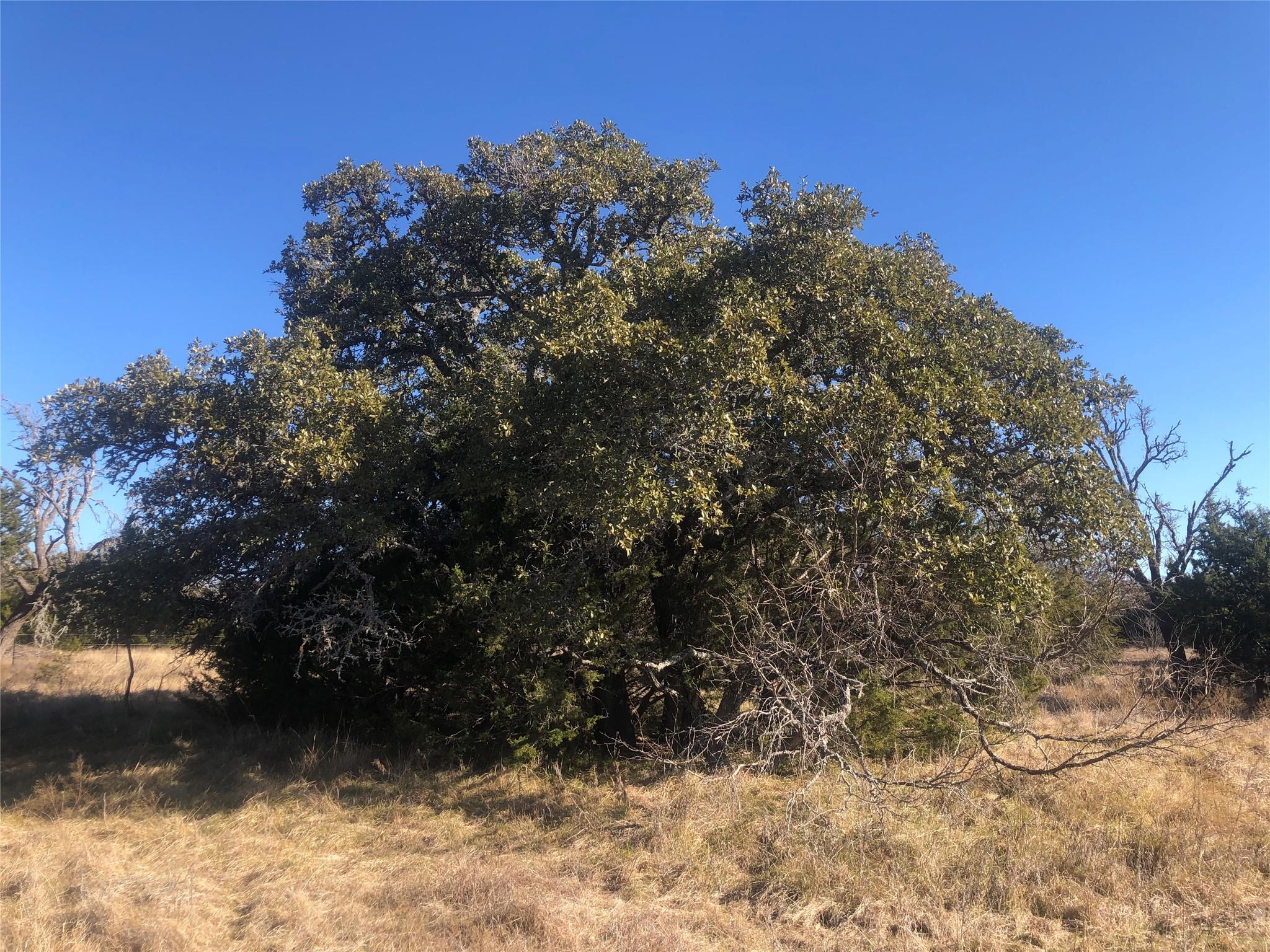 312 Oak Stump Dr, Goldthwaite, TX 76844