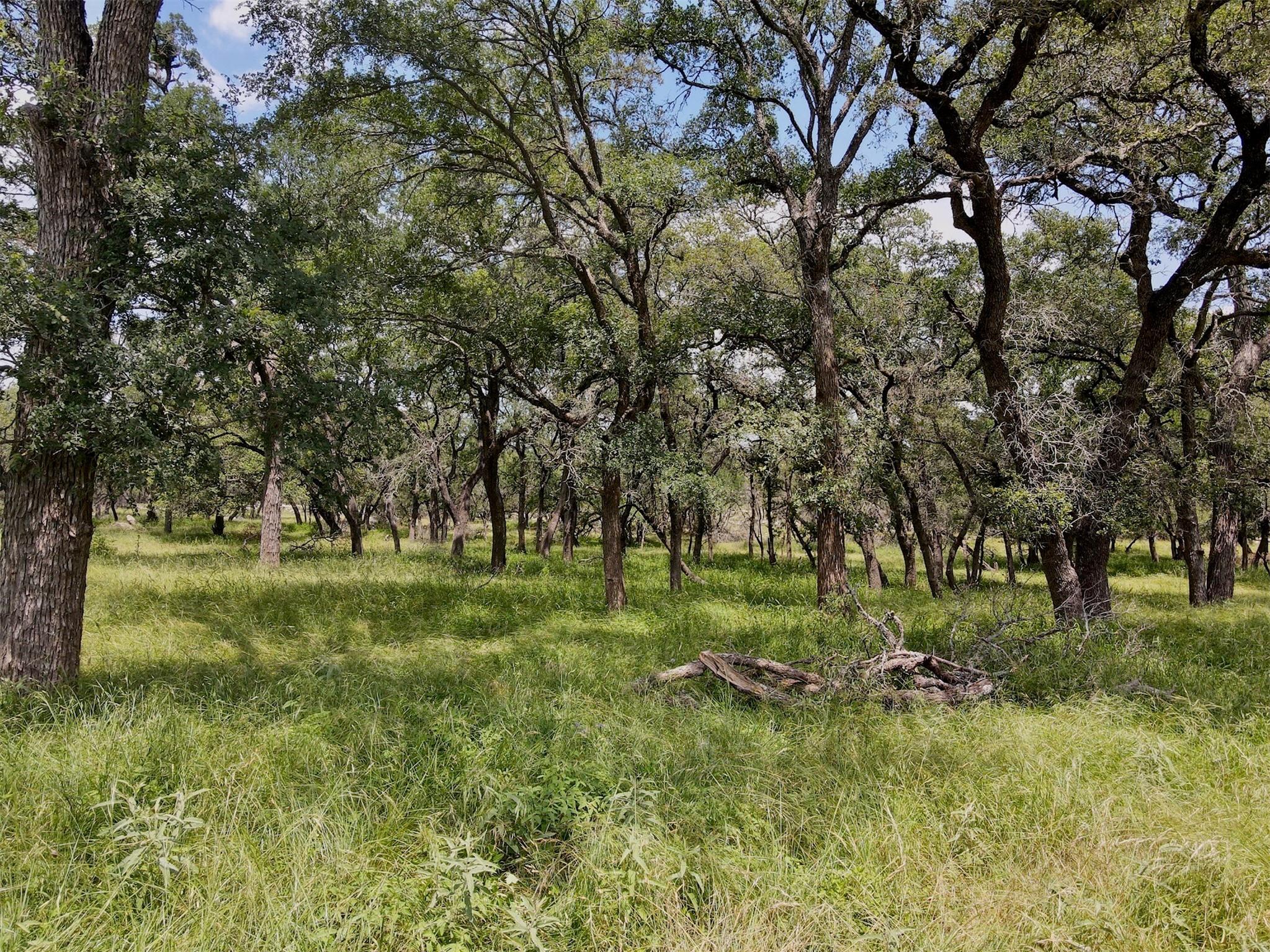 1978 Paradise Pkwy, Canyon Lake, TX 78133