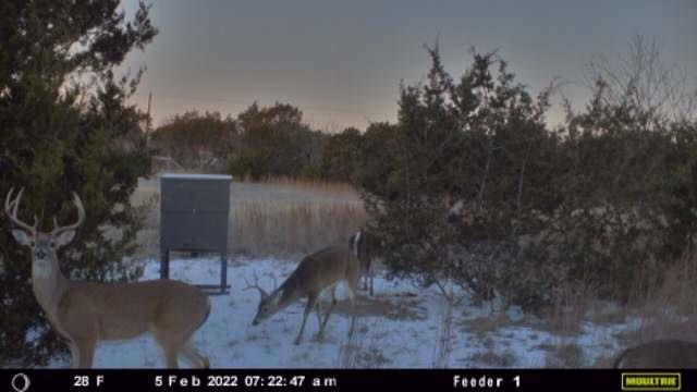 TBD E FM 581, Lometa, TX 76853