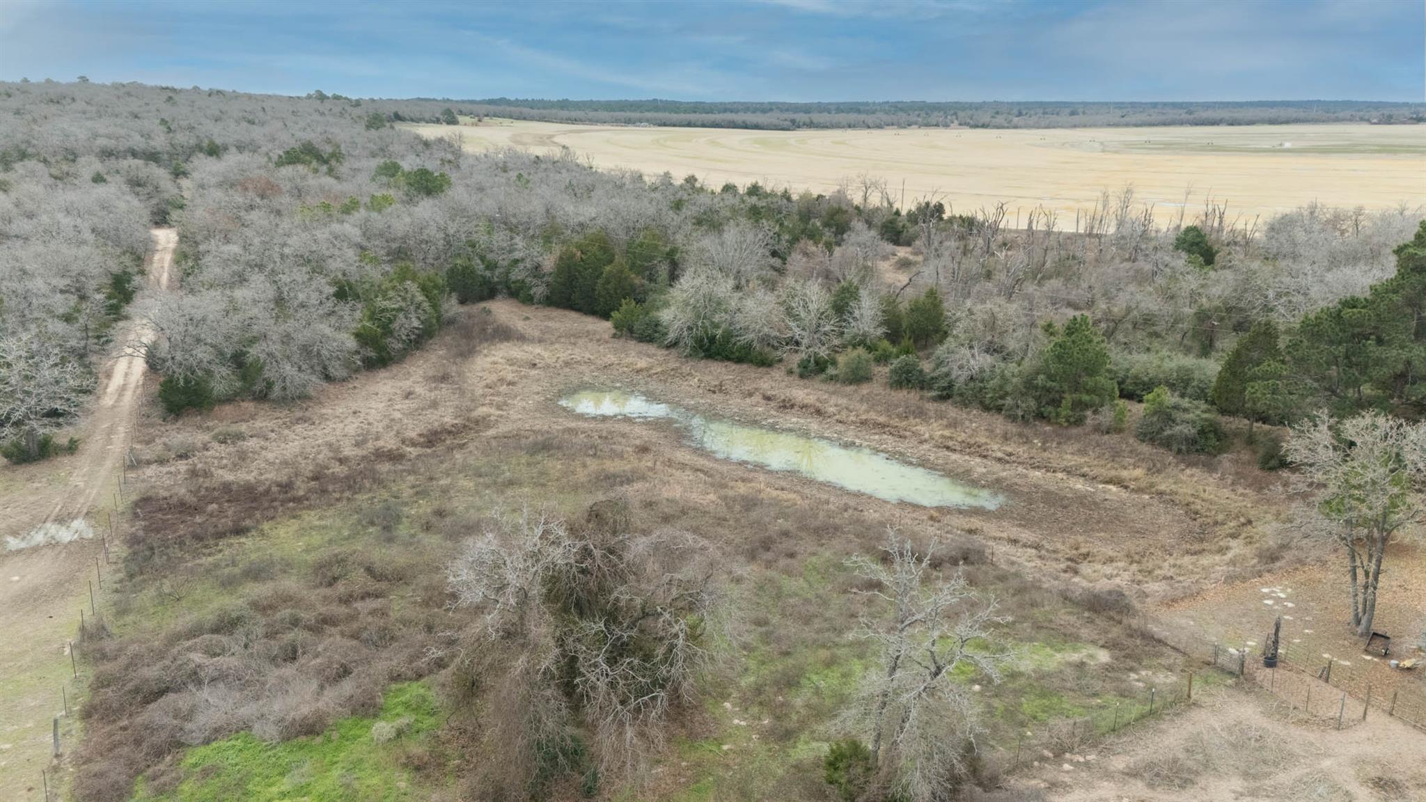 920 Old Potato Rd, Paige, TX 78659