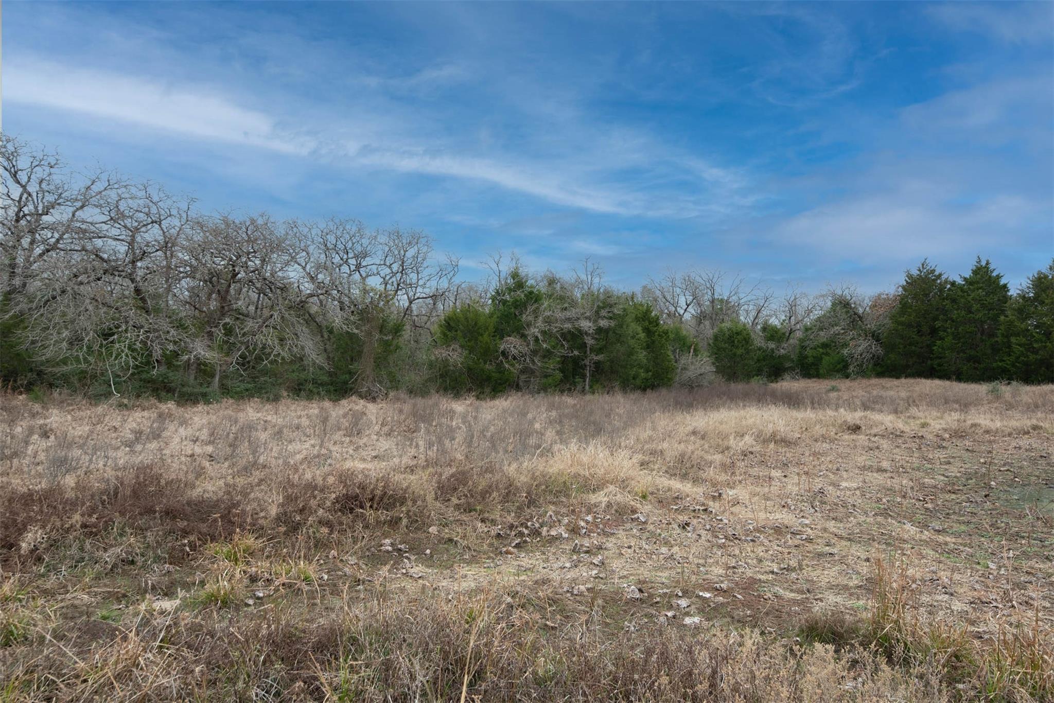 920 Old Potato Rd, Paige, TX 78659