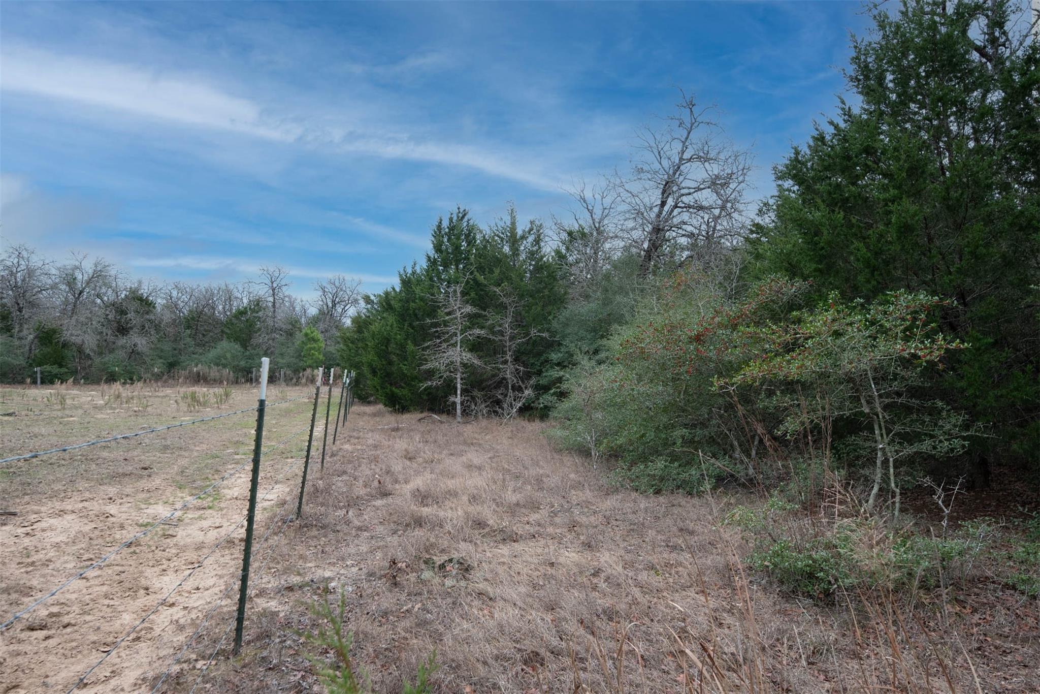 920 Old Potato Rd, Paige, TX 78659