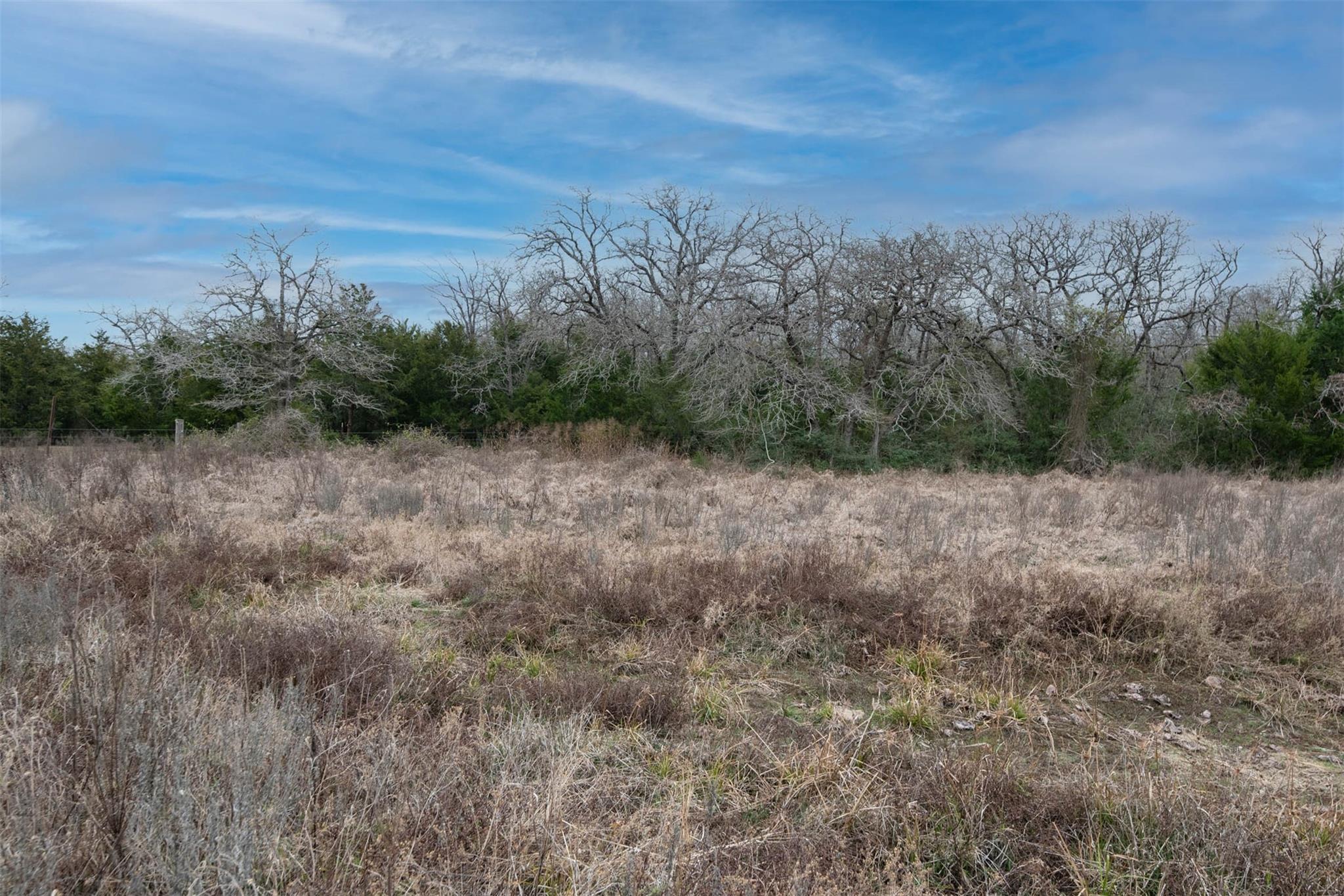 920 Old Potato Rd, Paige, TX 78659