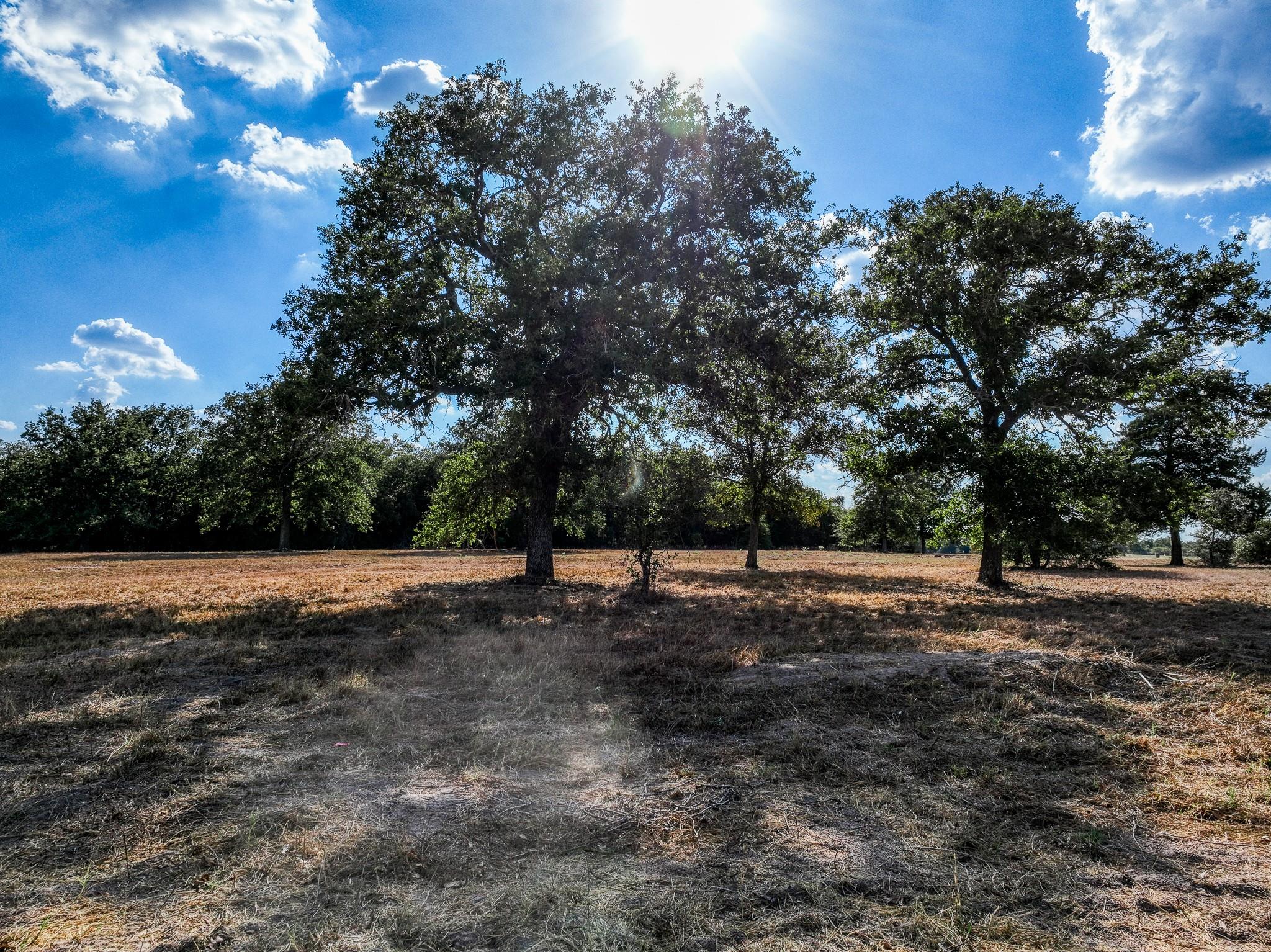 155 Feder Way, West Point, TX 78963