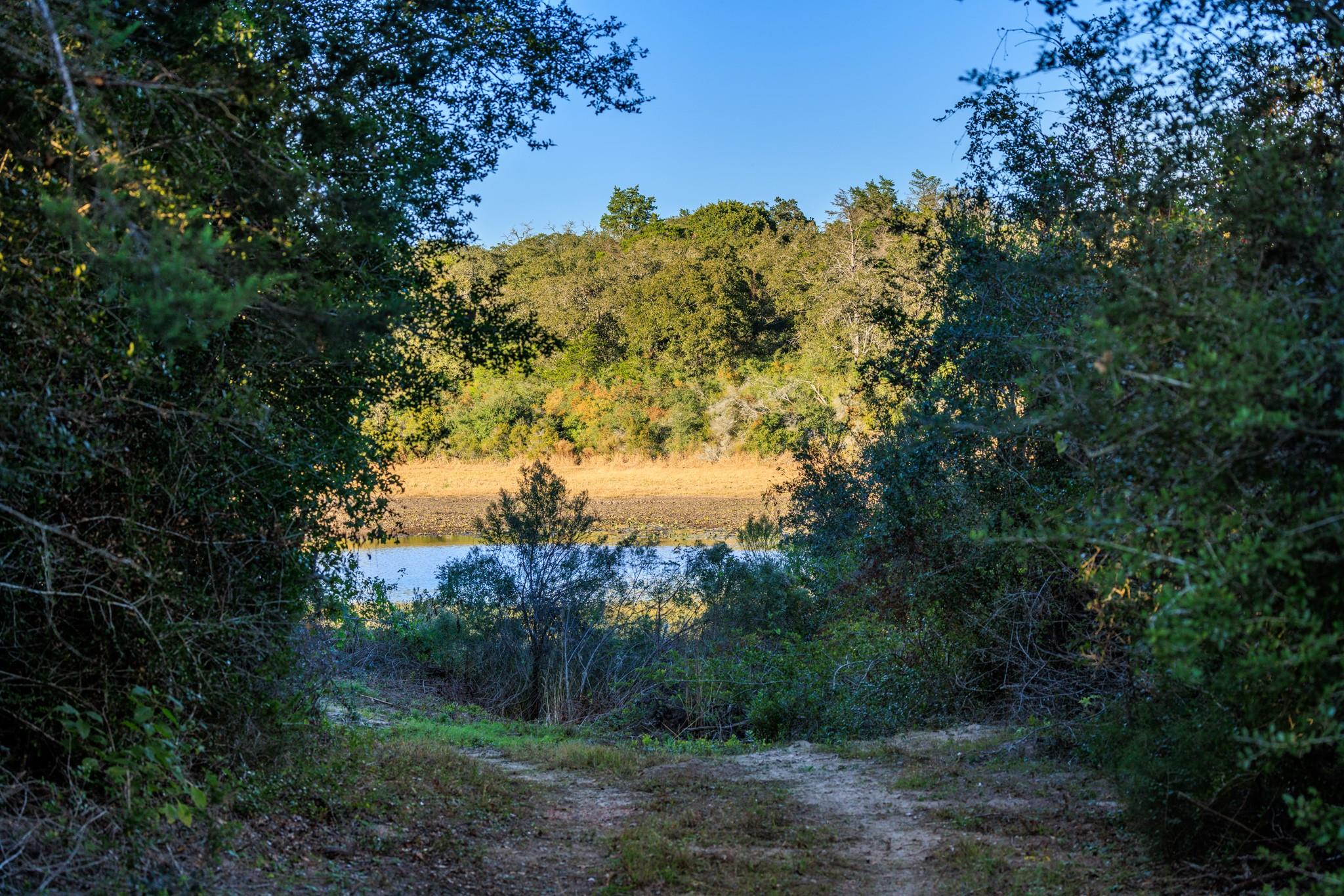1019 County Road 438, Lexington, TX 78947