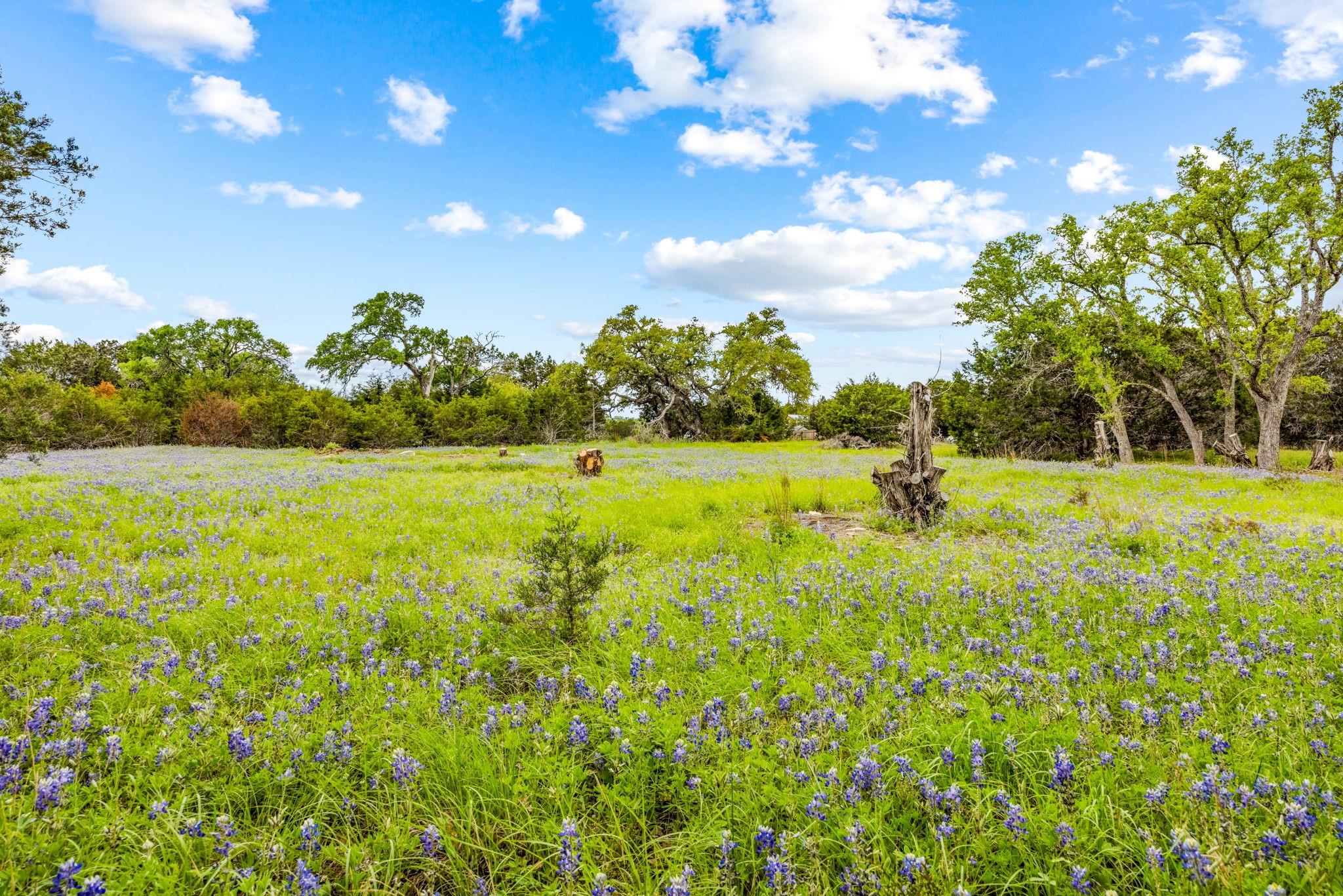 32 Moonlight Ln, Wimberley, TX 78676
