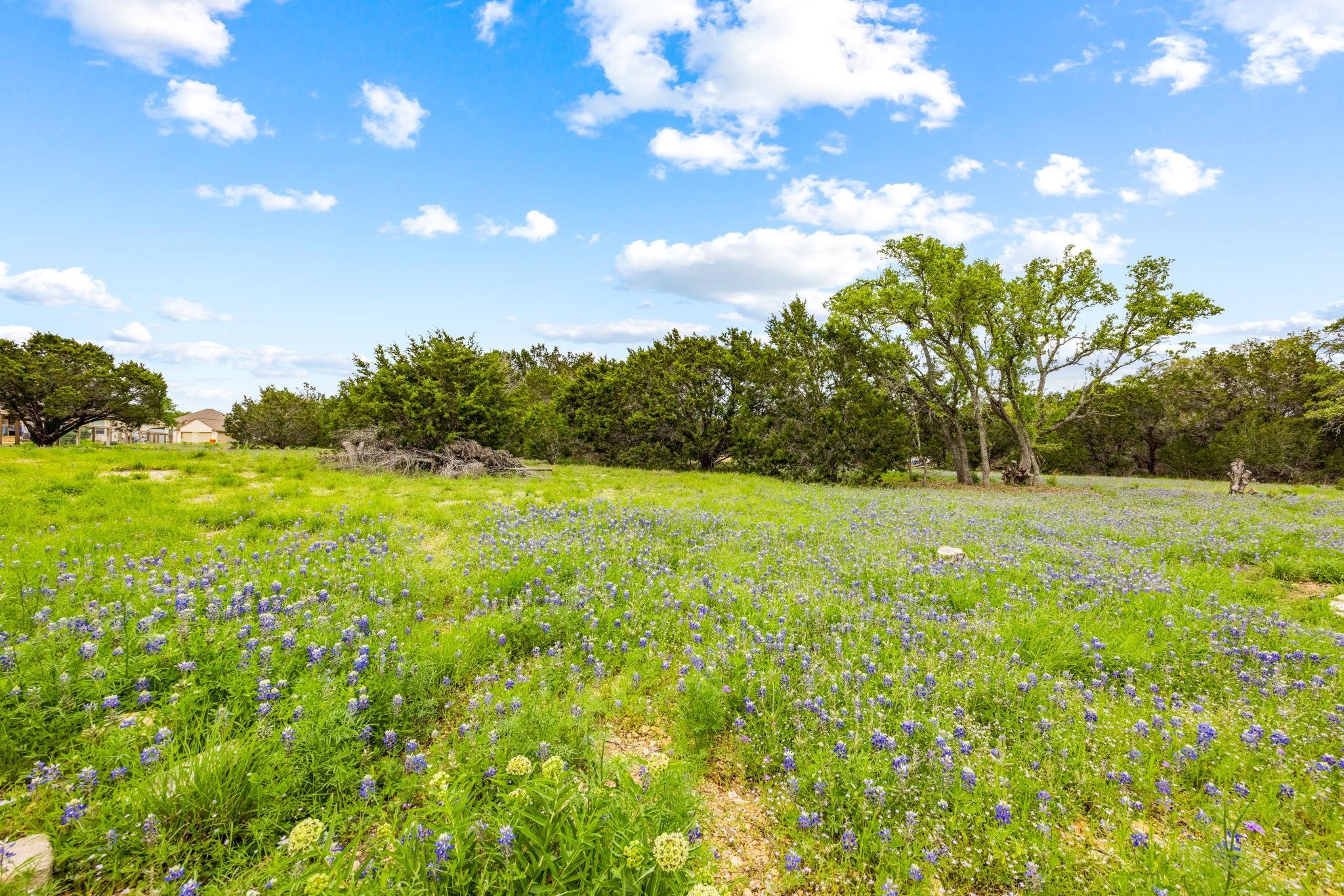 32 Moonlight Ln, Wimberley, TX 78676