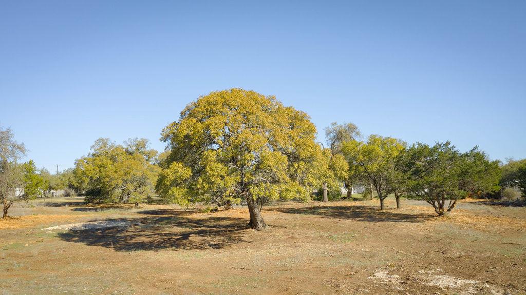 268 Kinnikinik Lot 8 Loop, Austin, TX 78737