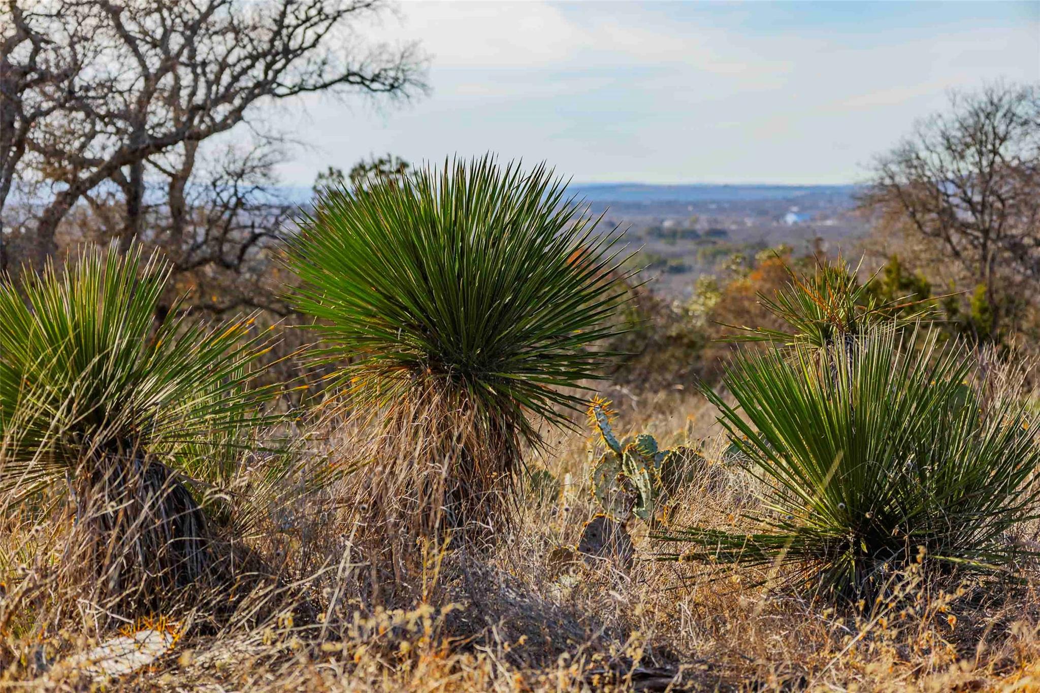 000 County Road 120, Marble Falls, TX 78654