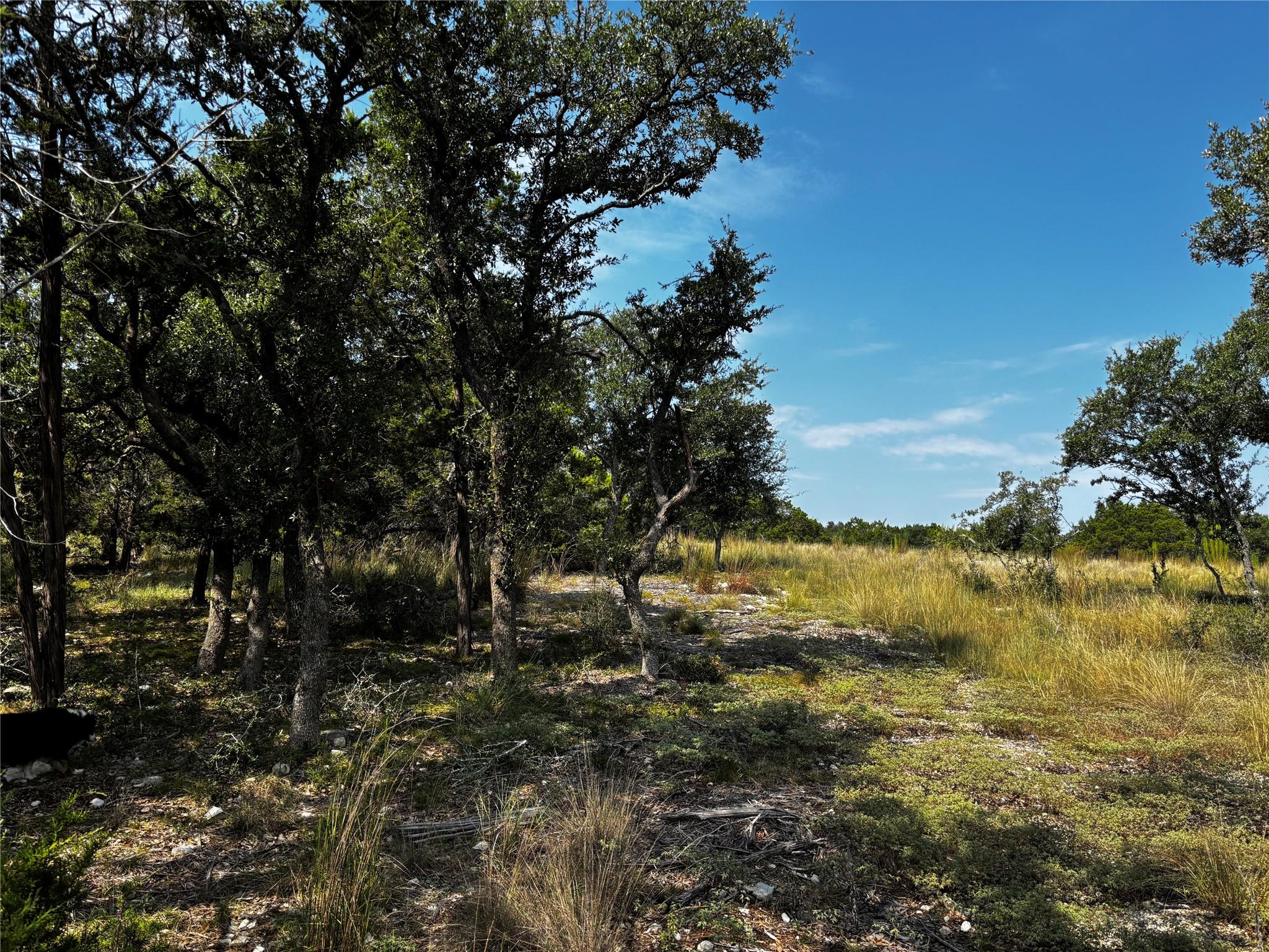 280 Kellog, Fischer, TX 78623