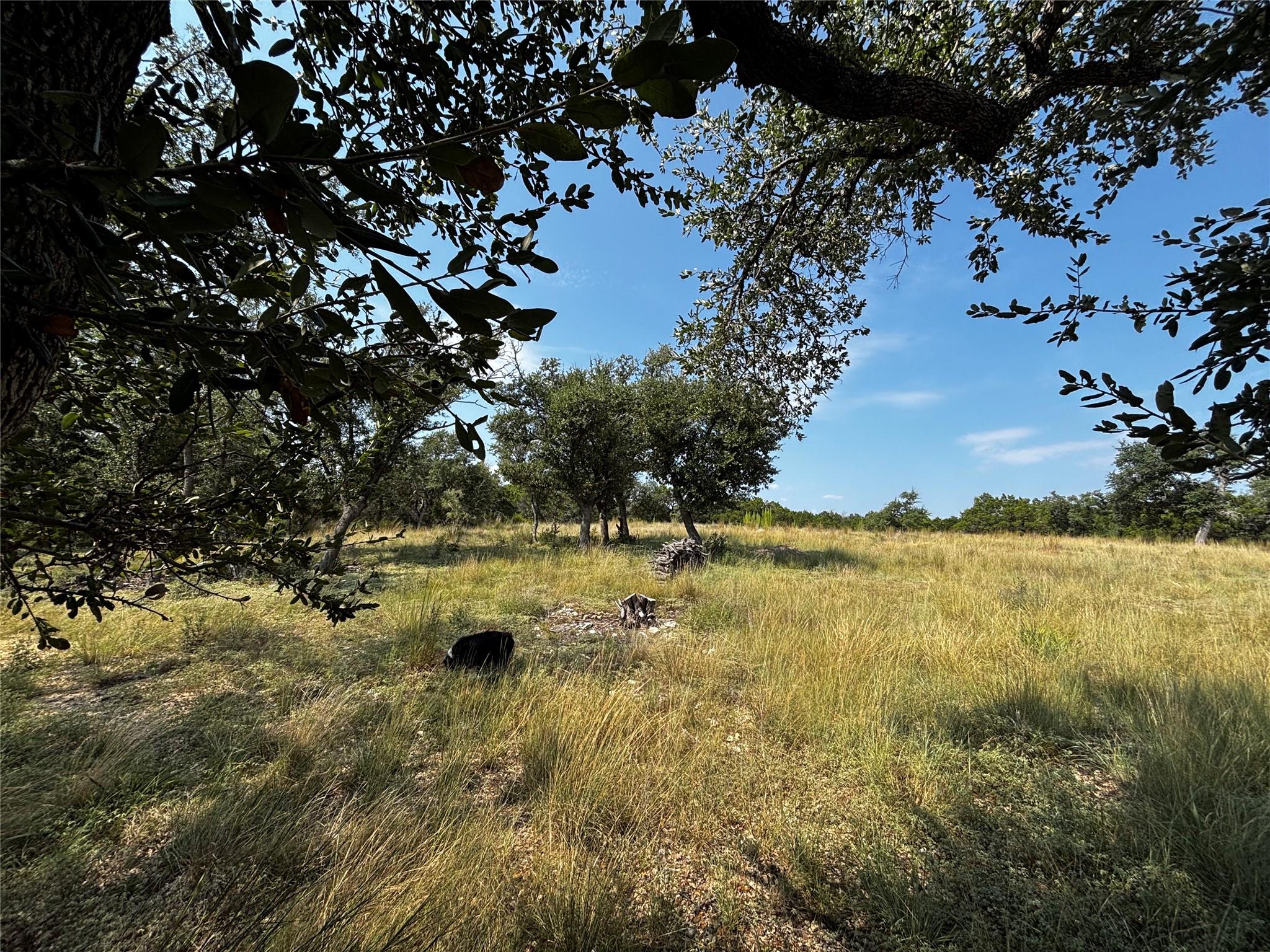 280 Kellog, Fischer, TX 78623