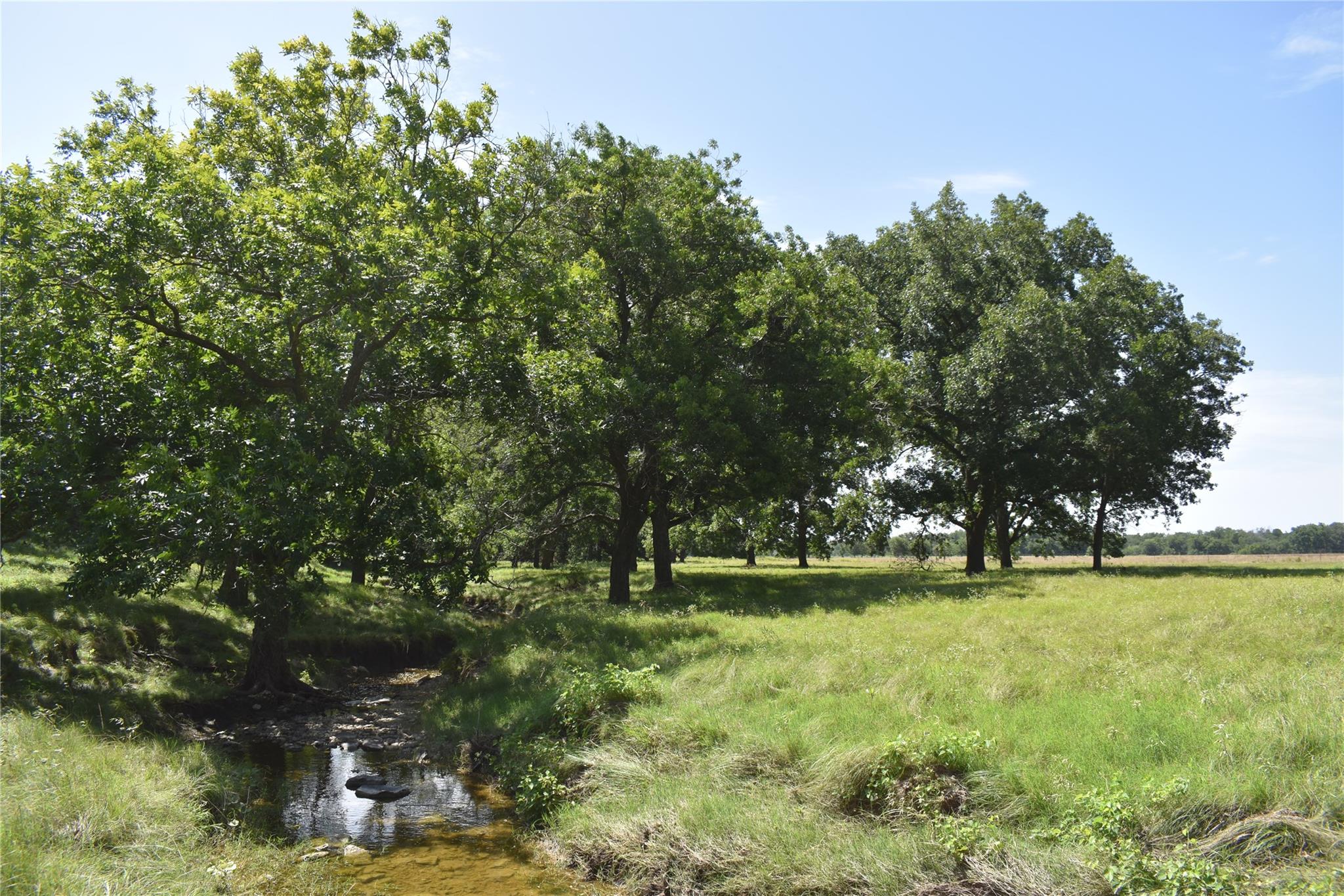 TBD County Road 621, Hamilton, TX 76531
