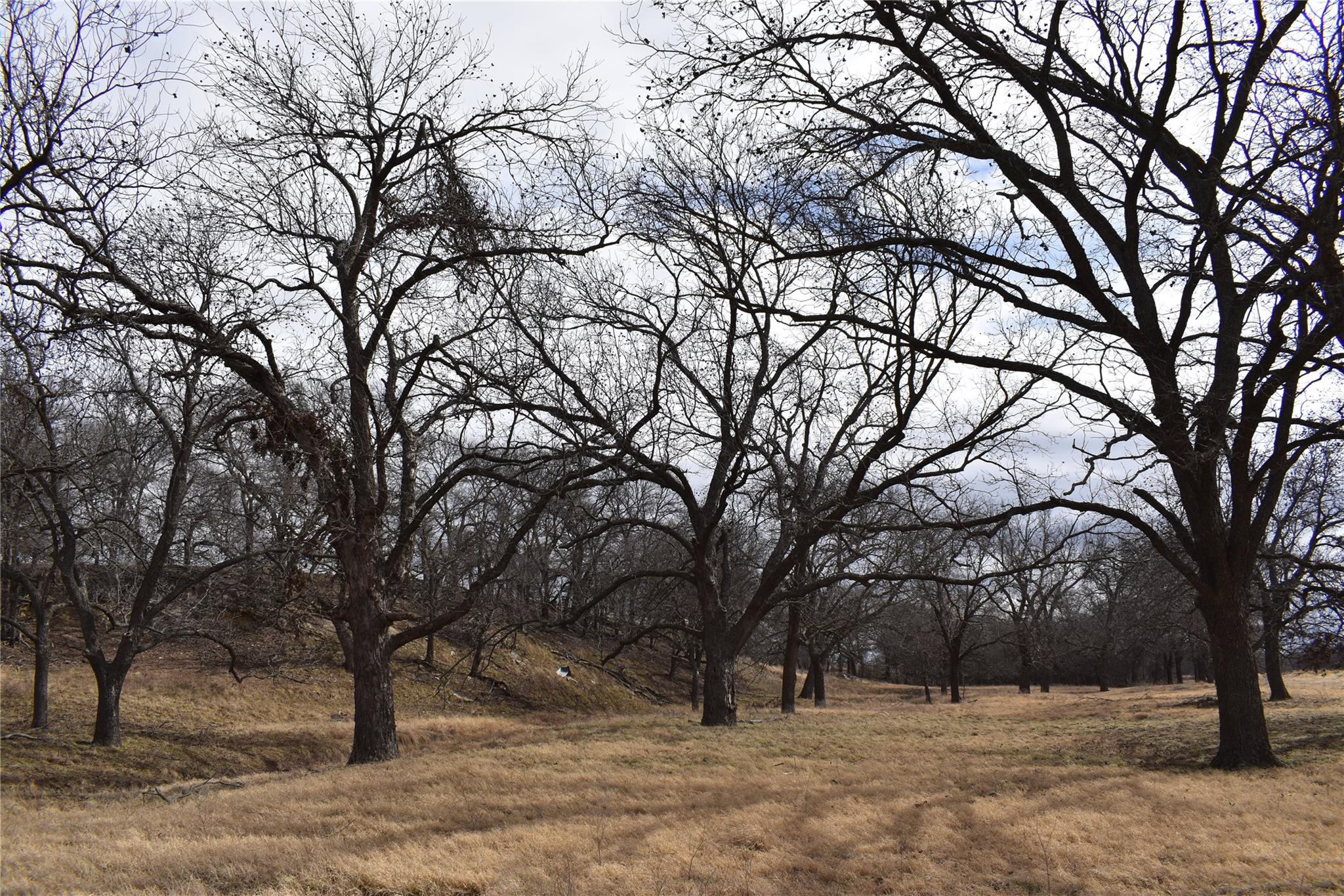 TBD County Road 621, Hamilton, TX 76531