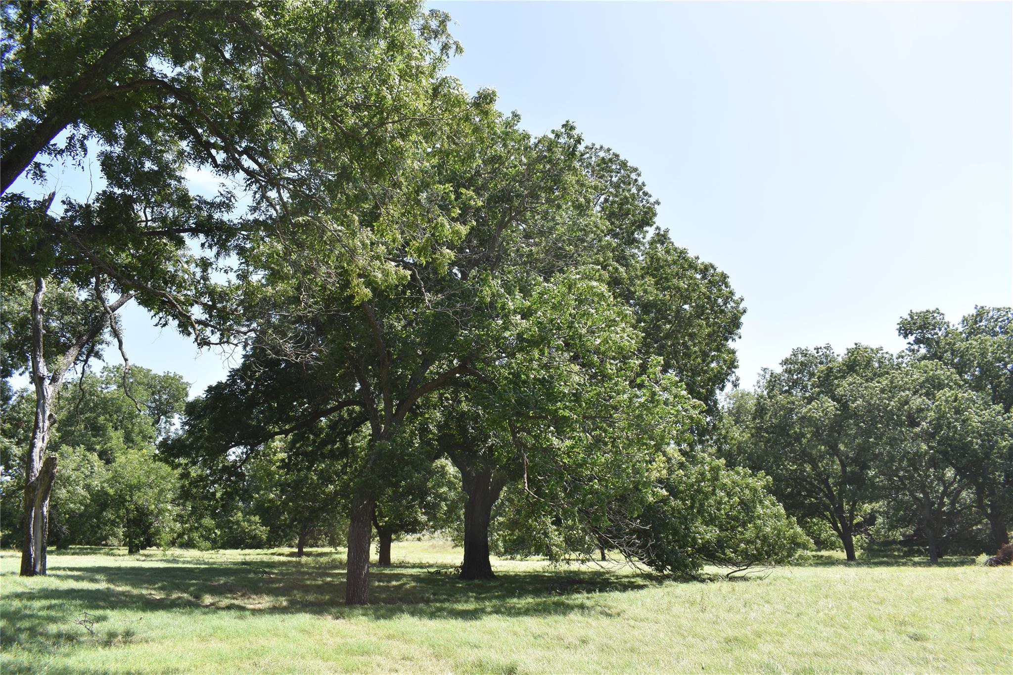 TBD County Road 621, Hamilton, TX 76531