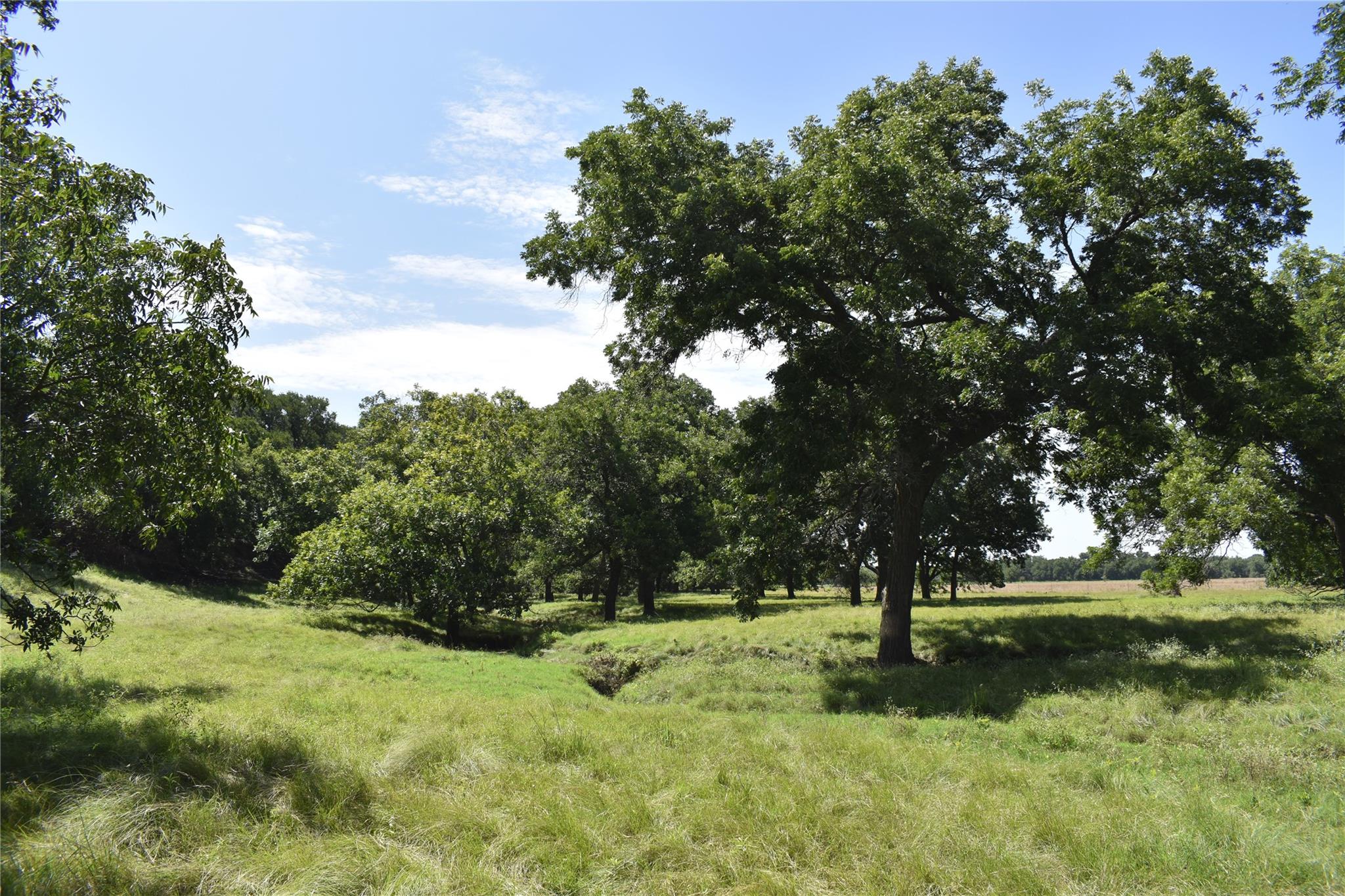 TBD County Road 621, Hamilton, TX 76531